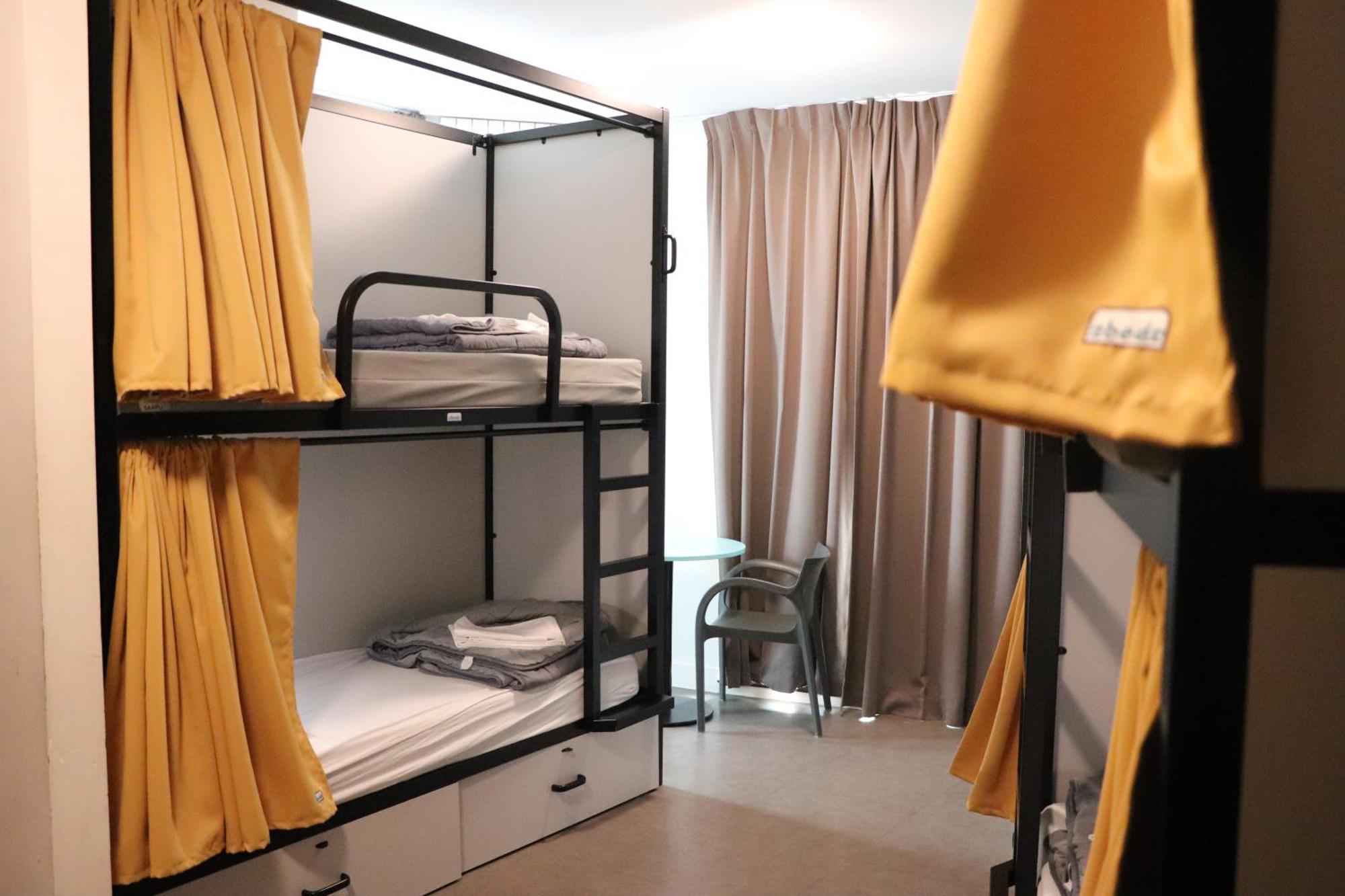 Bunk Bed Mixed Dormitory Room