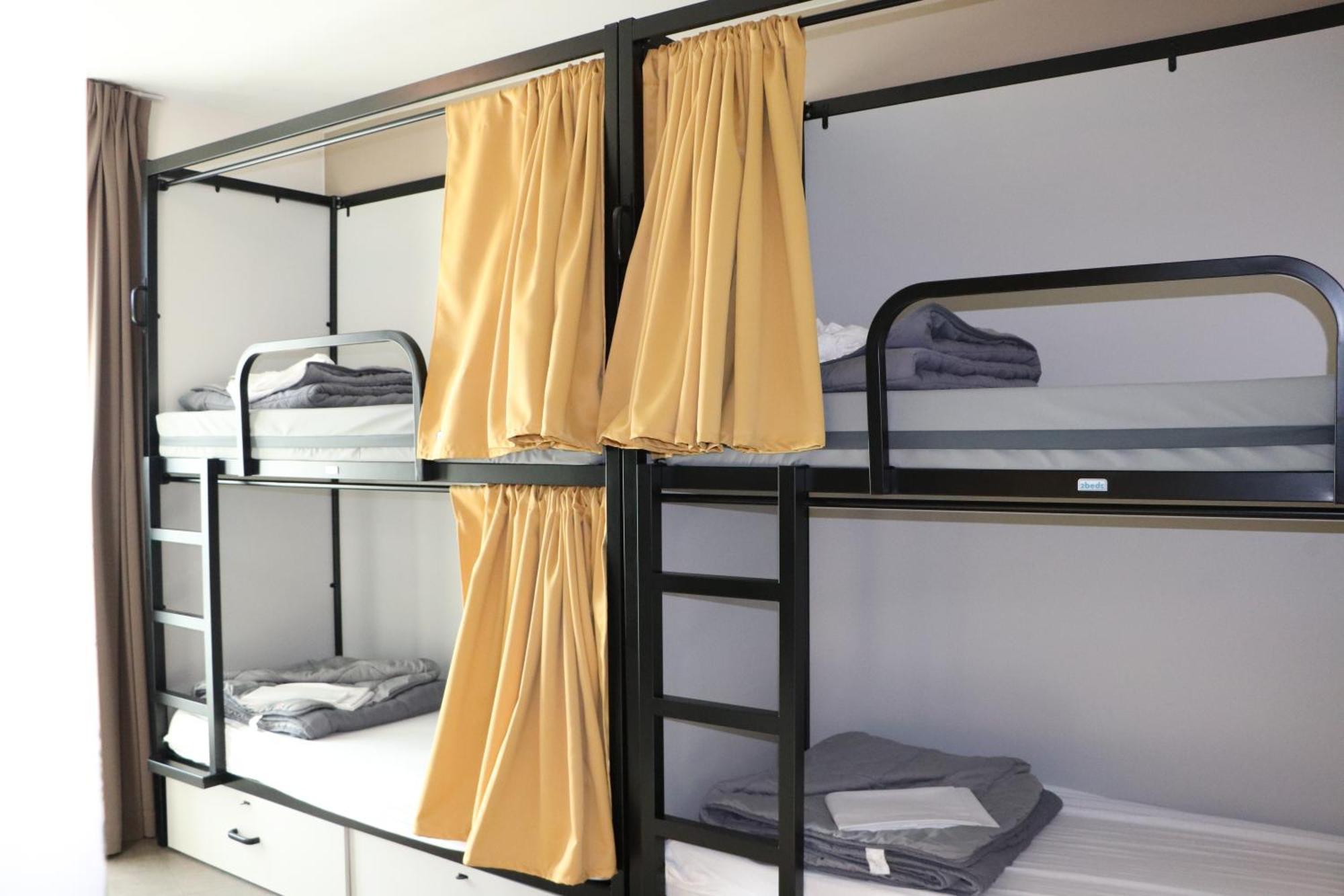 Bunk Bed Mixed Dormitory Room