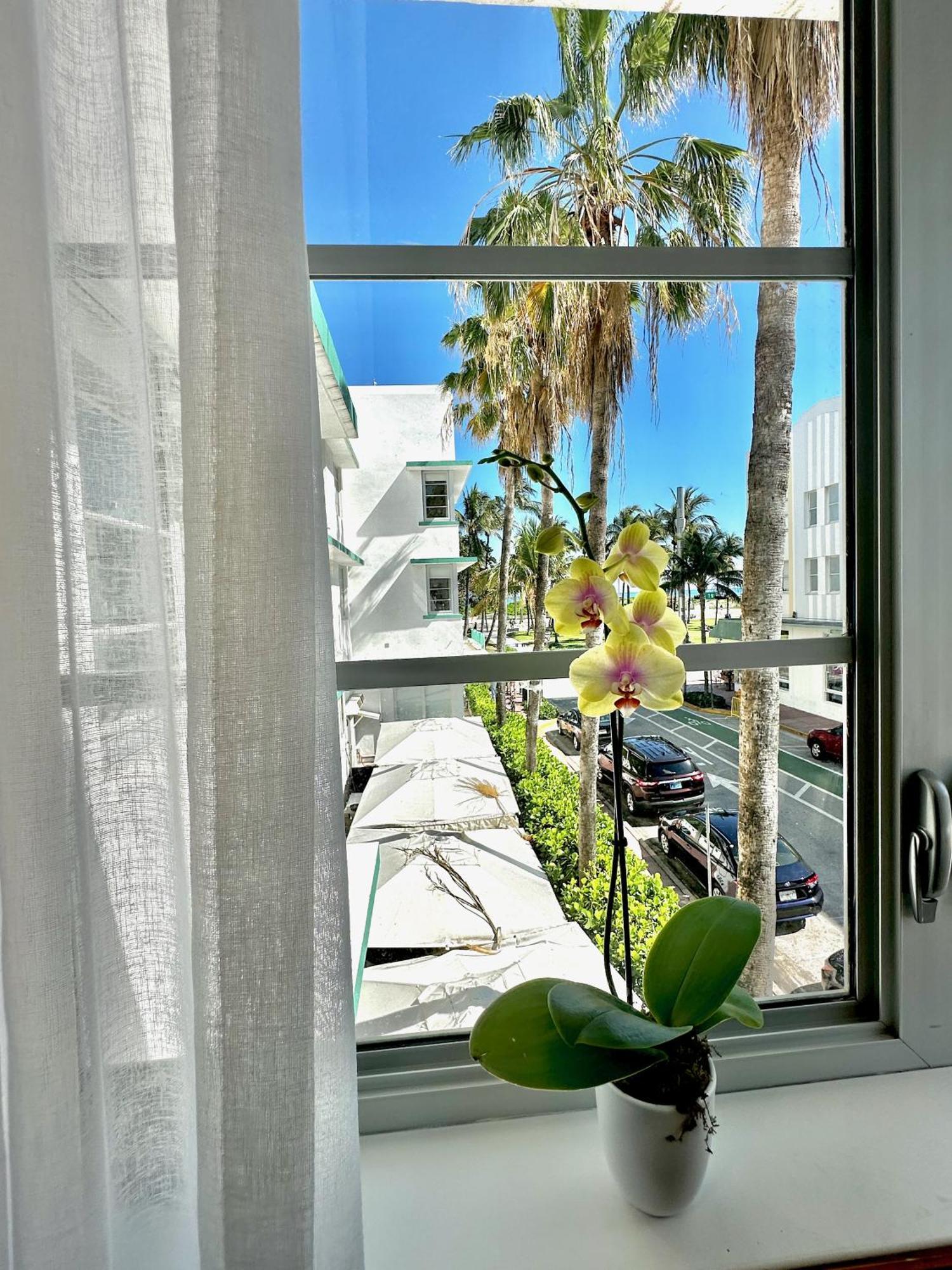 1 Queen Bed Partial Ocean View