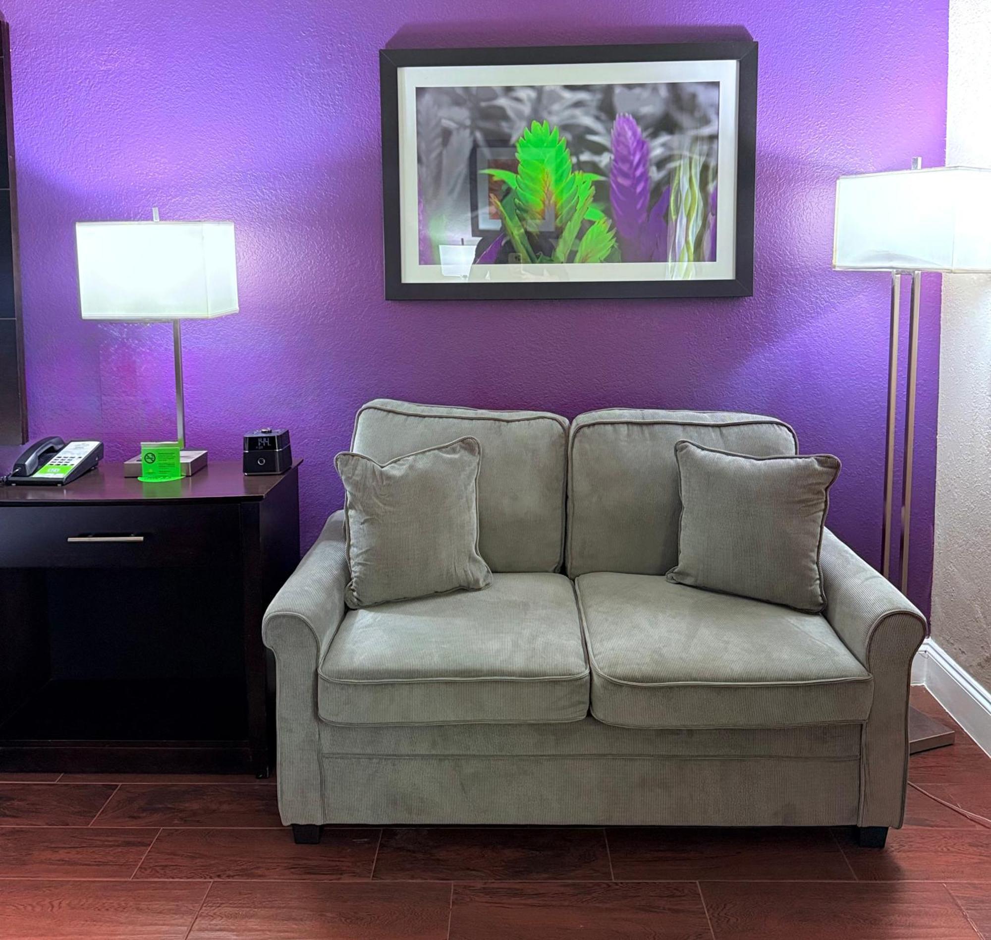 Executive King Room Sofa Bed