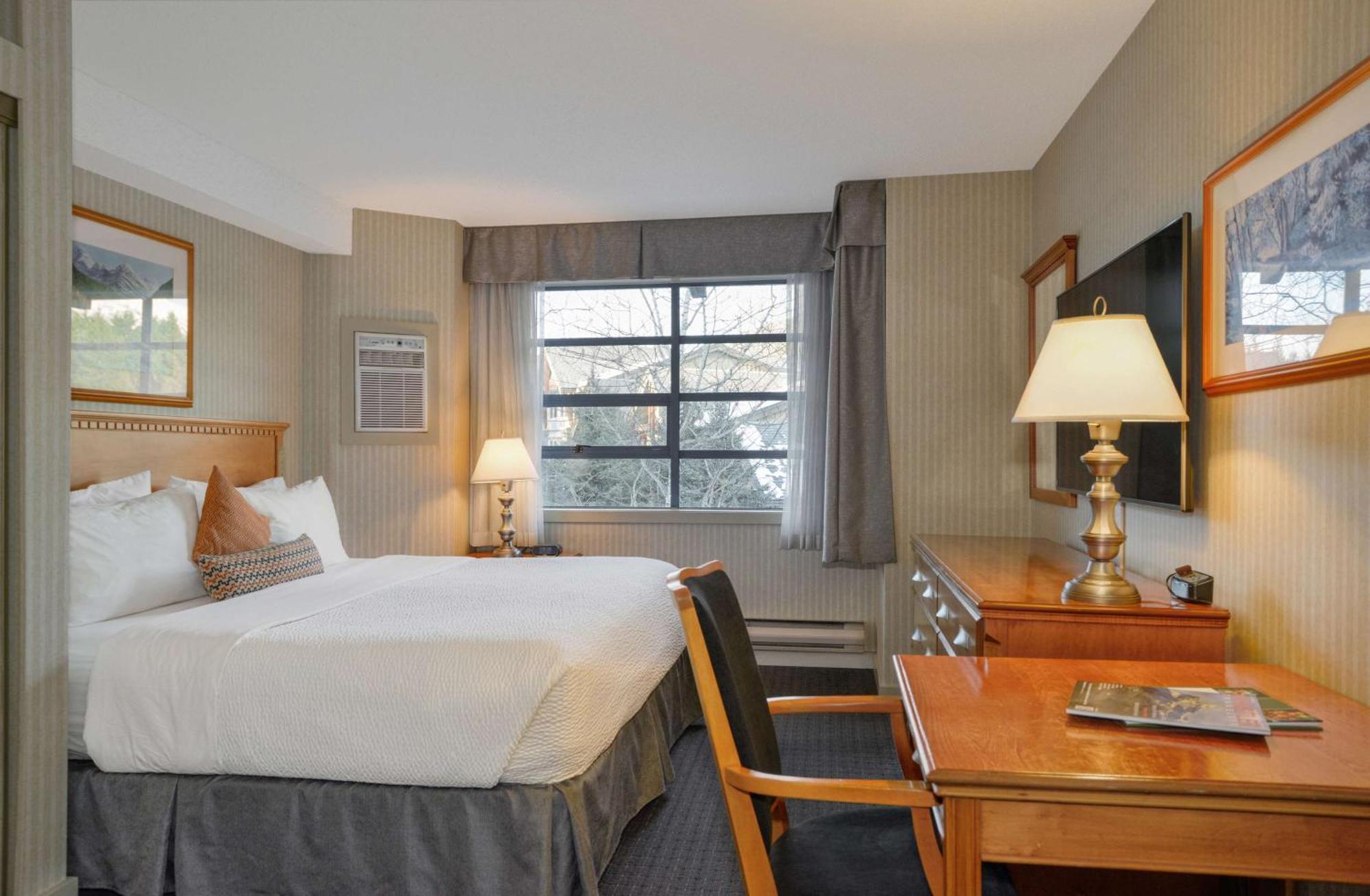 Coast Premium Junior King Suite