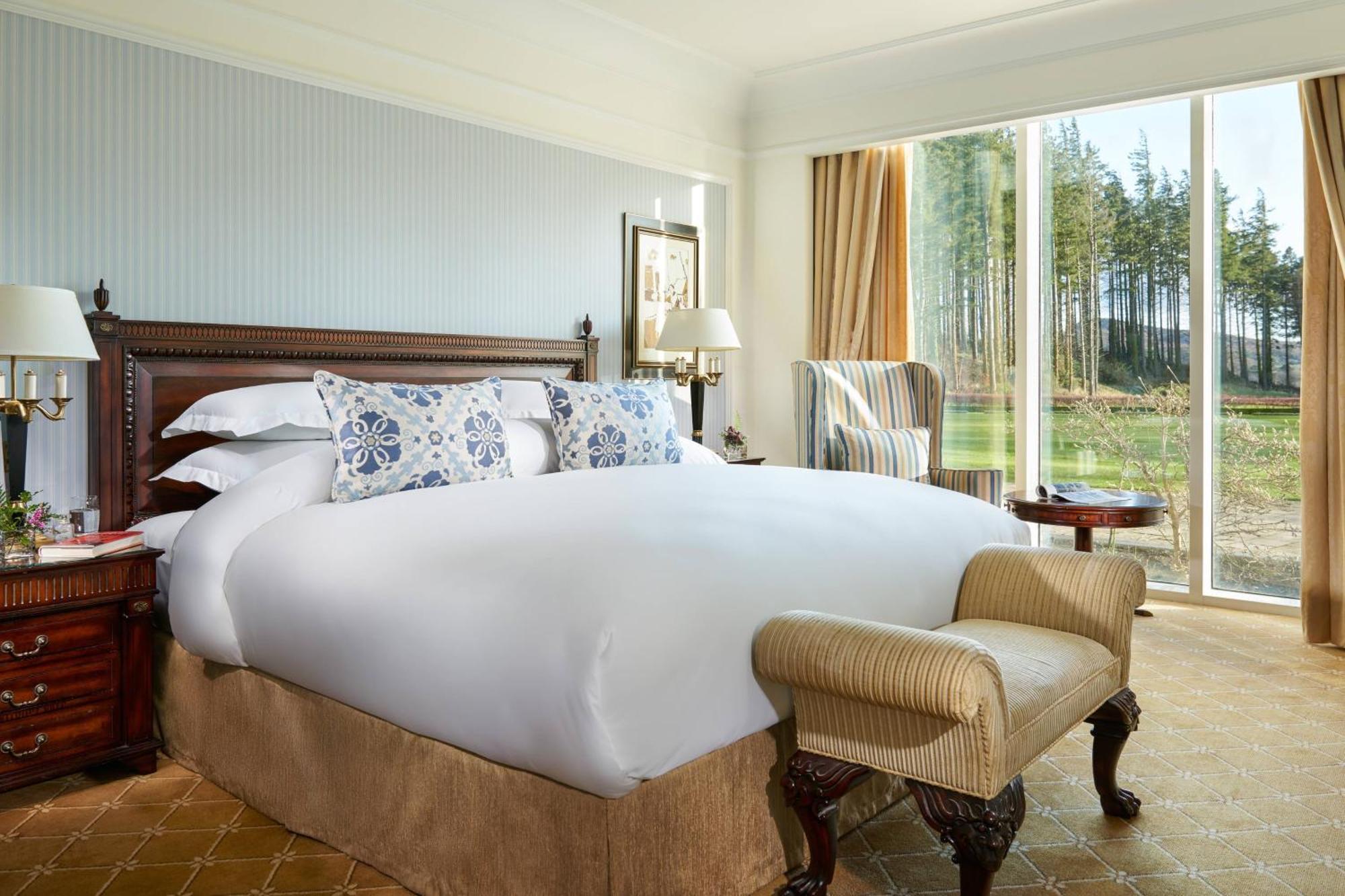 Guestroom King Bed & Mountain View