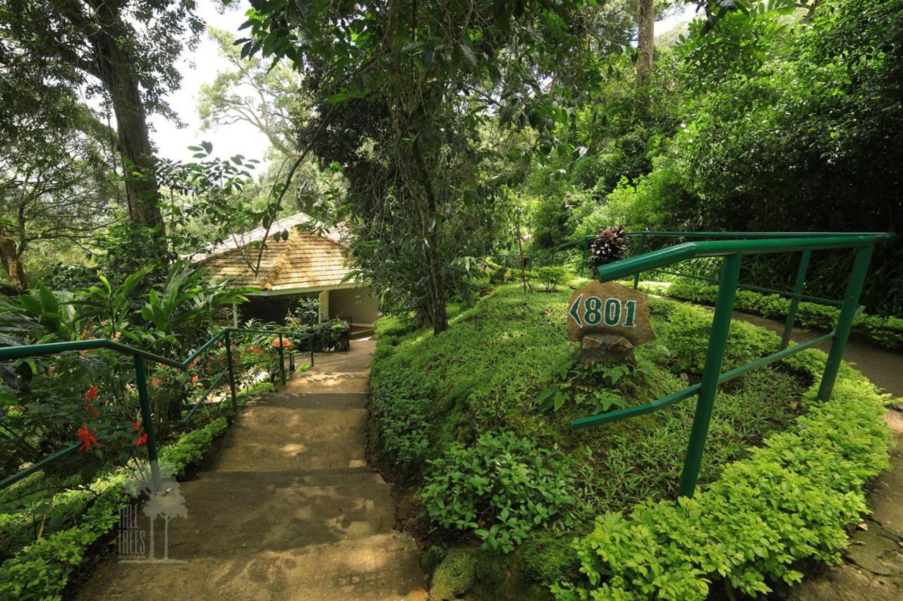 Cinnamon Cottage
