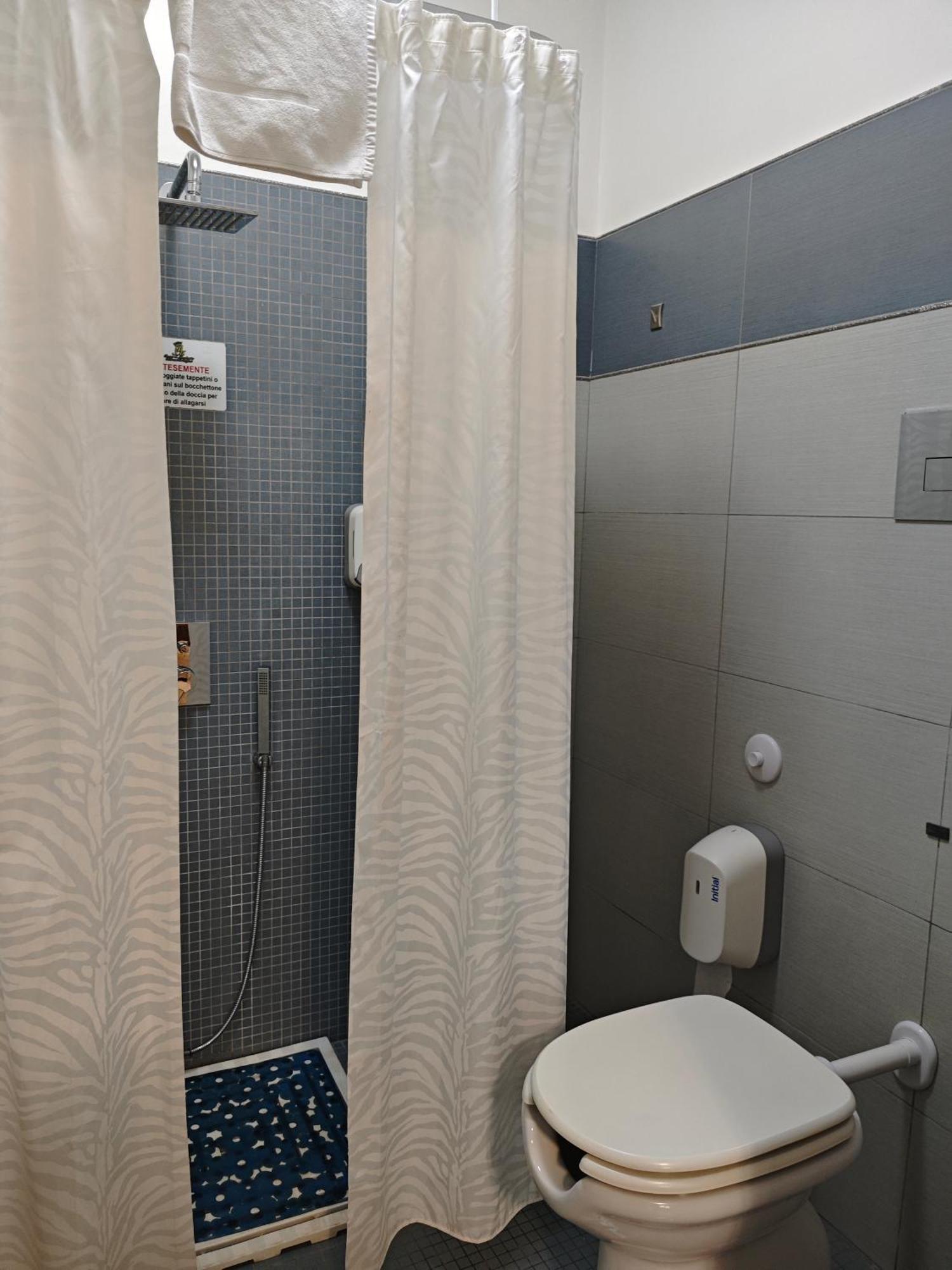 King Room Roll Shower Disability Access