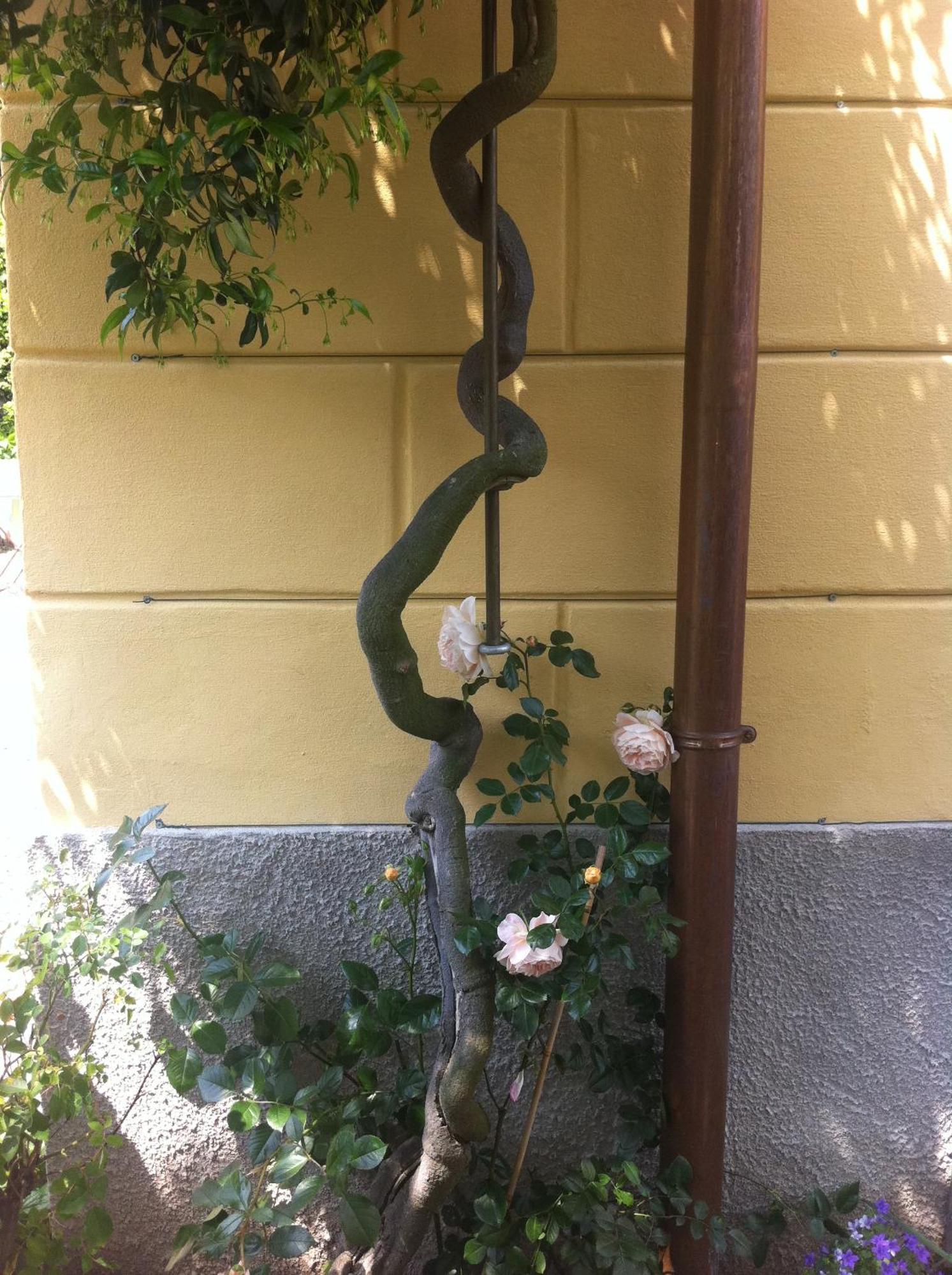 Double Room Private External Bathroom
