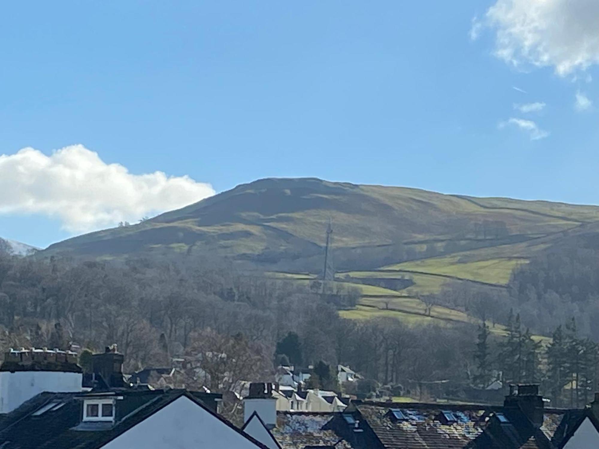 Standard Twin Room Mountain View