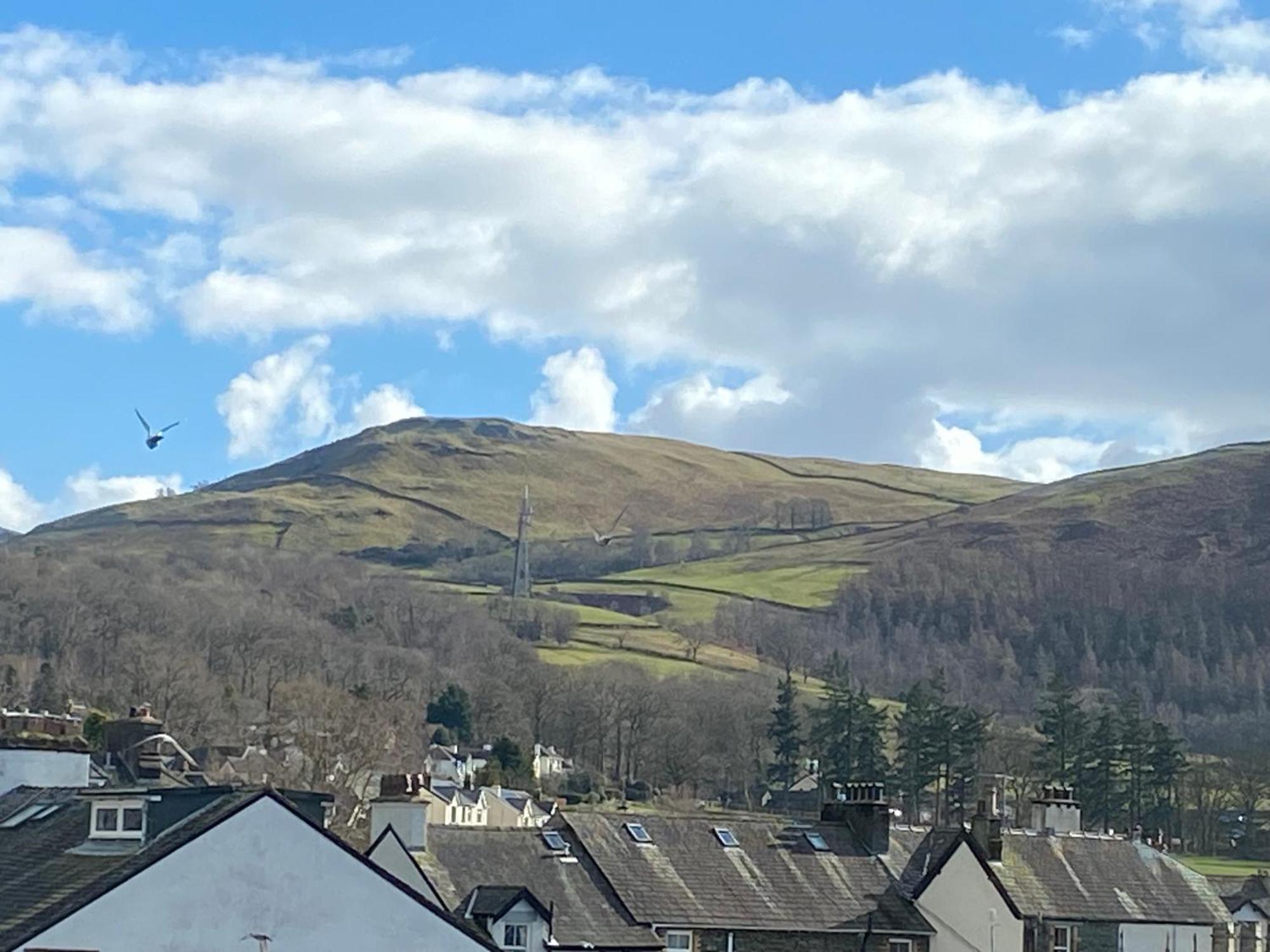 Single Room Mountain View