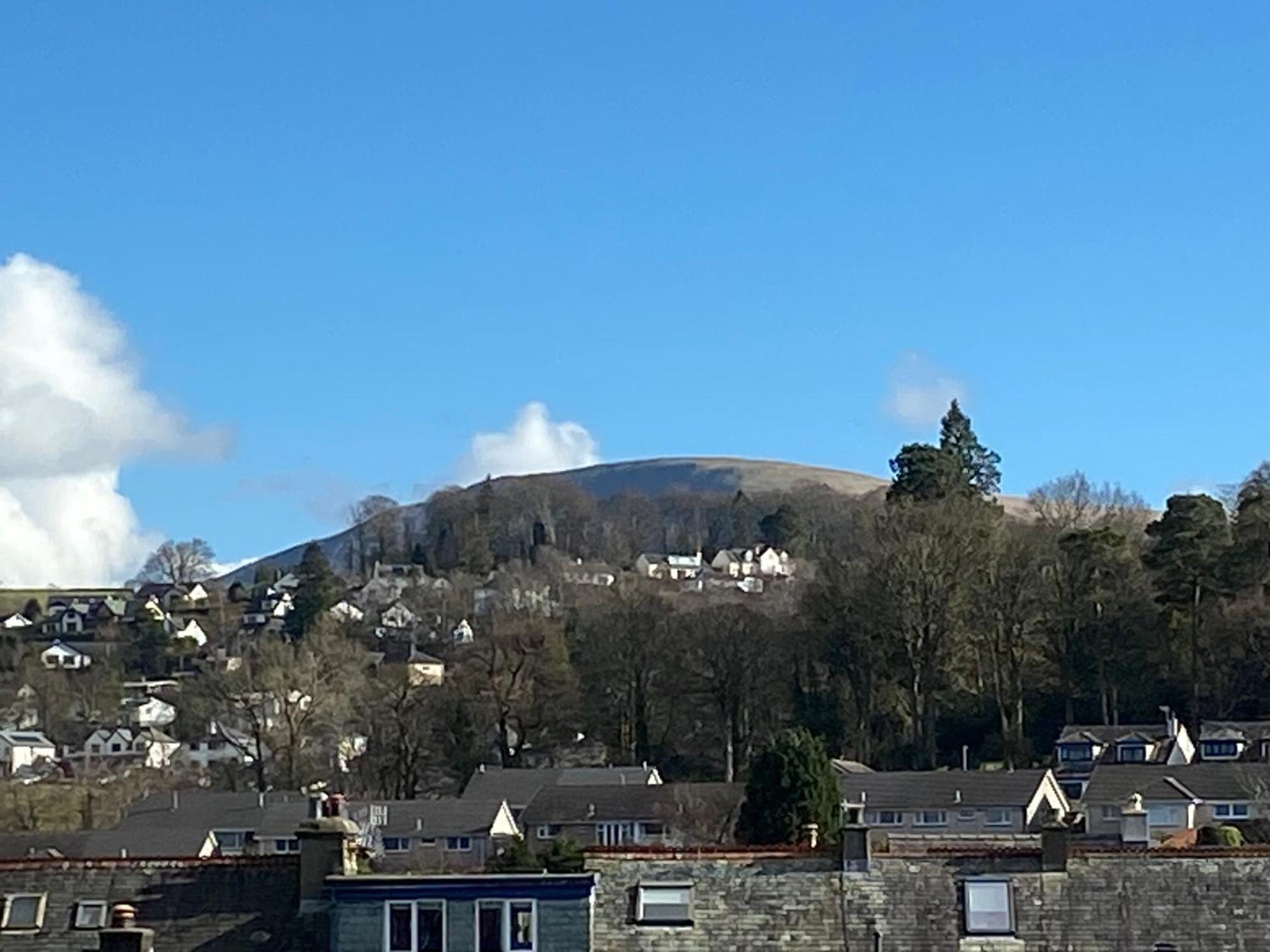 Single Room Mountain View