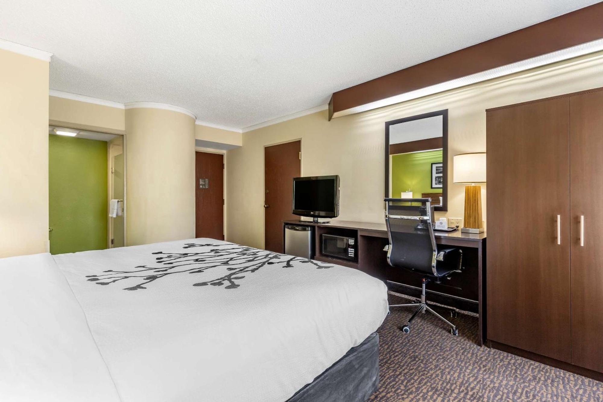 King Room Non-Smoking