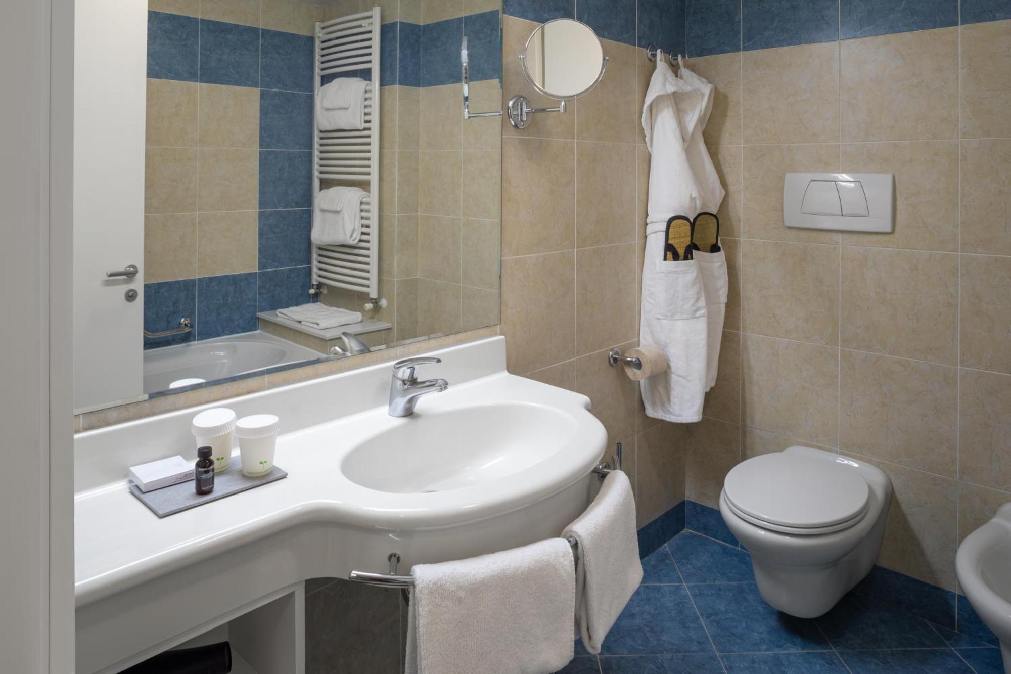 Superior Double or Twin Room
