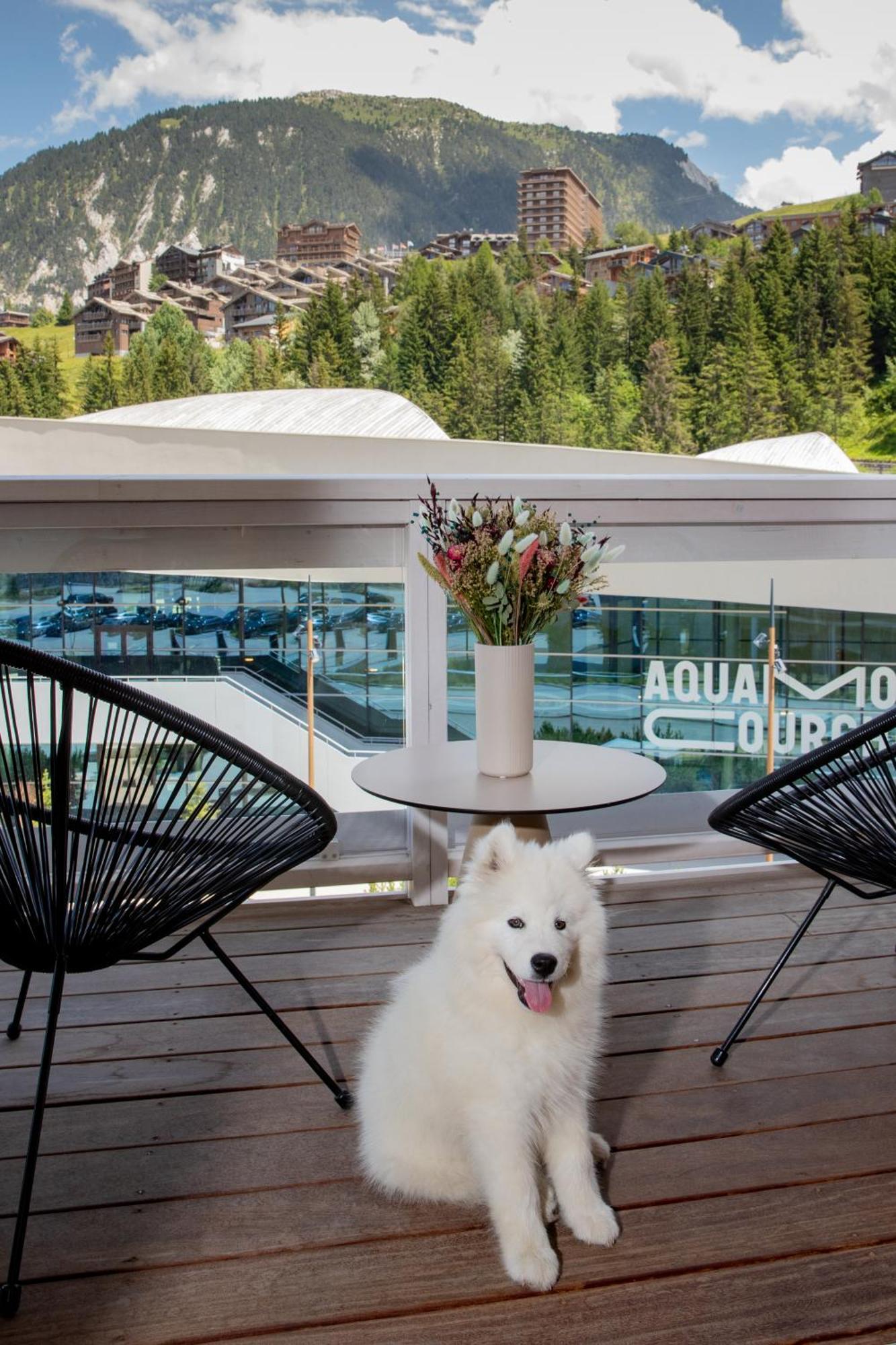 Cocoon Room with High Tea (dec-april) and Aquapark access,1458622234:JPEG