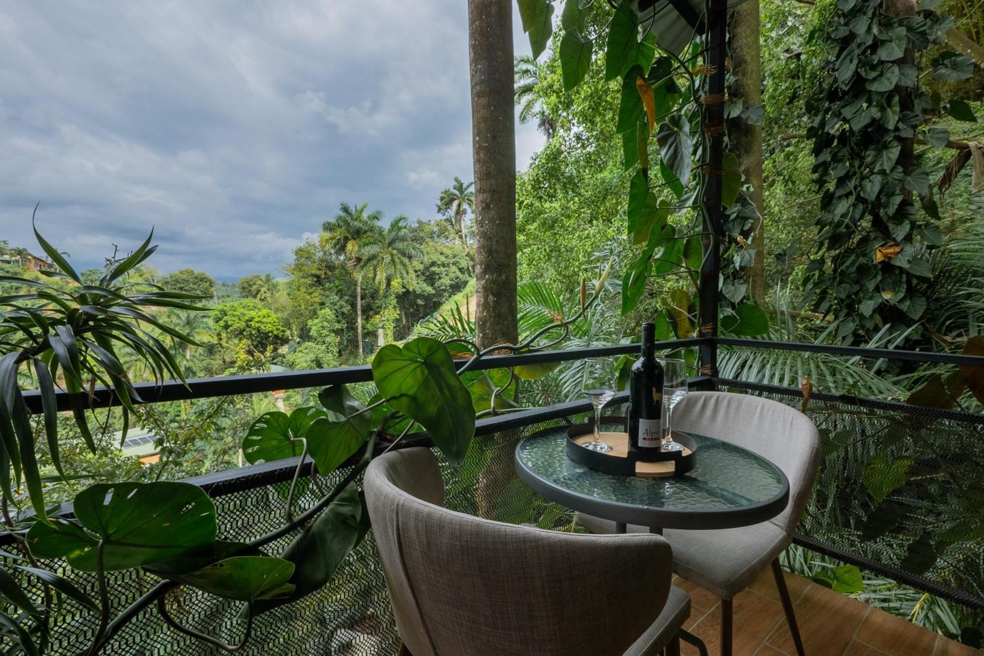 Tree Top Canopy