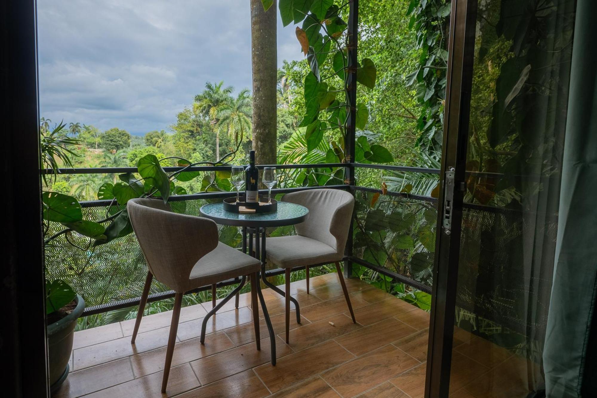 Tree Top Canopy