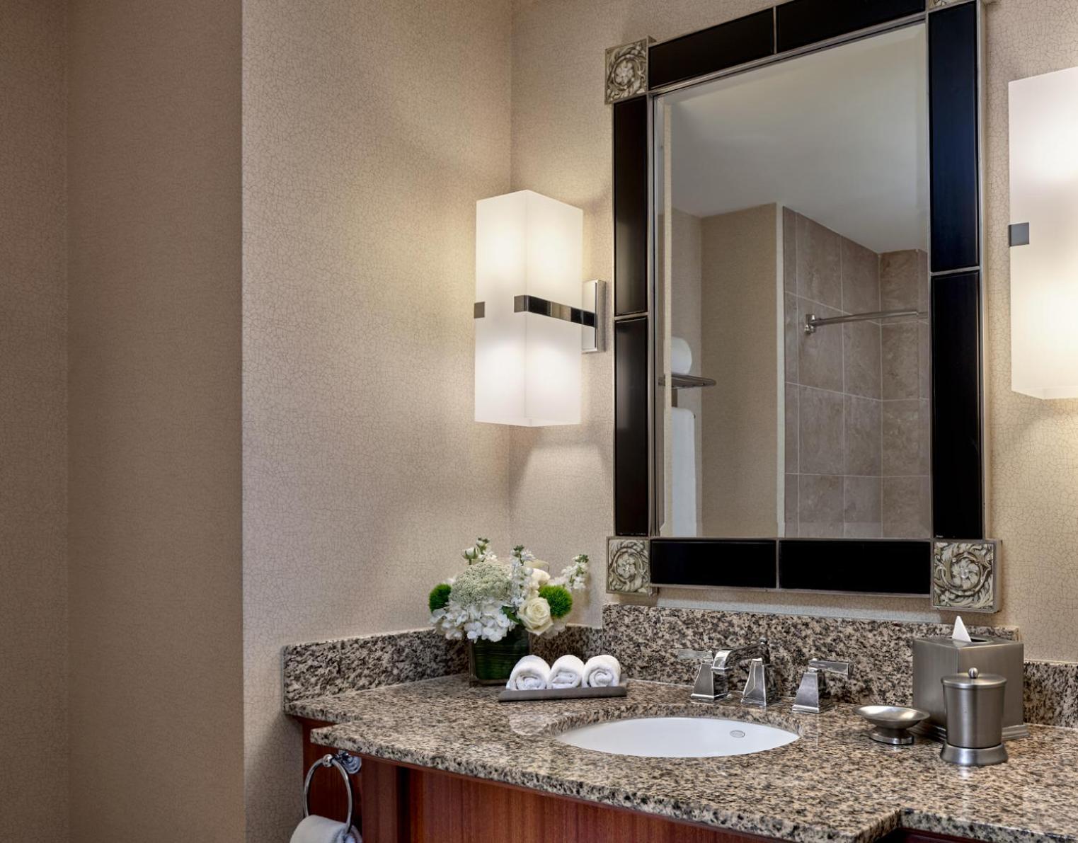 Deluxe King Room City View