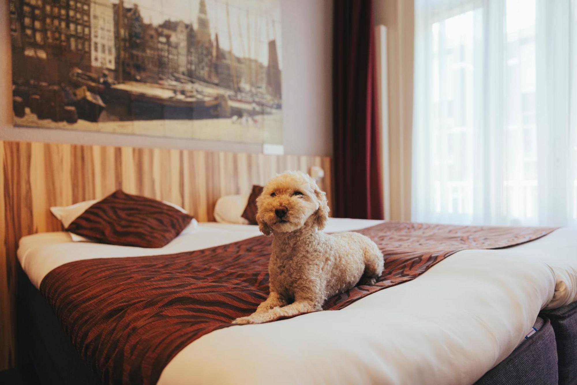Comfort Twin Room