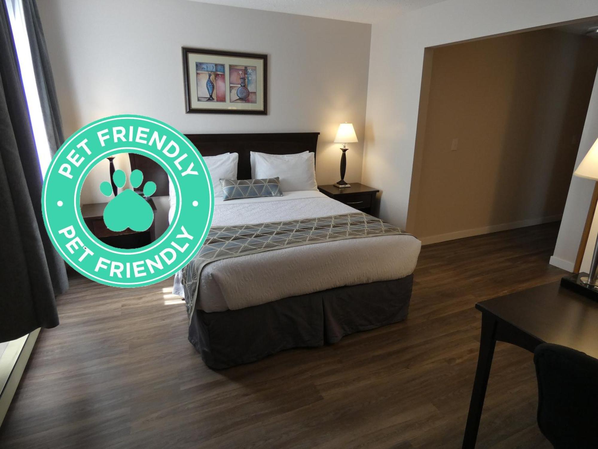 Standard Queen Room Pet Friendly