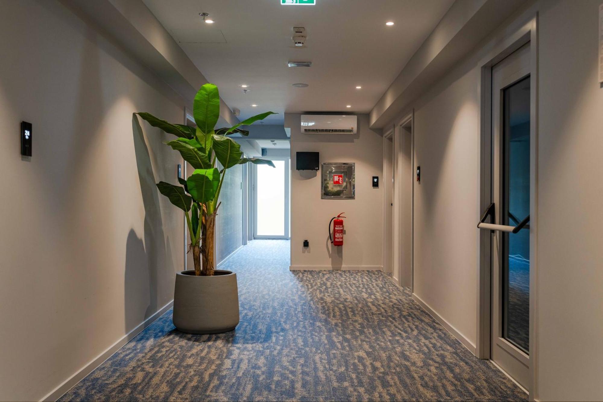Premium Apartment mit 1 Schlafzimmer