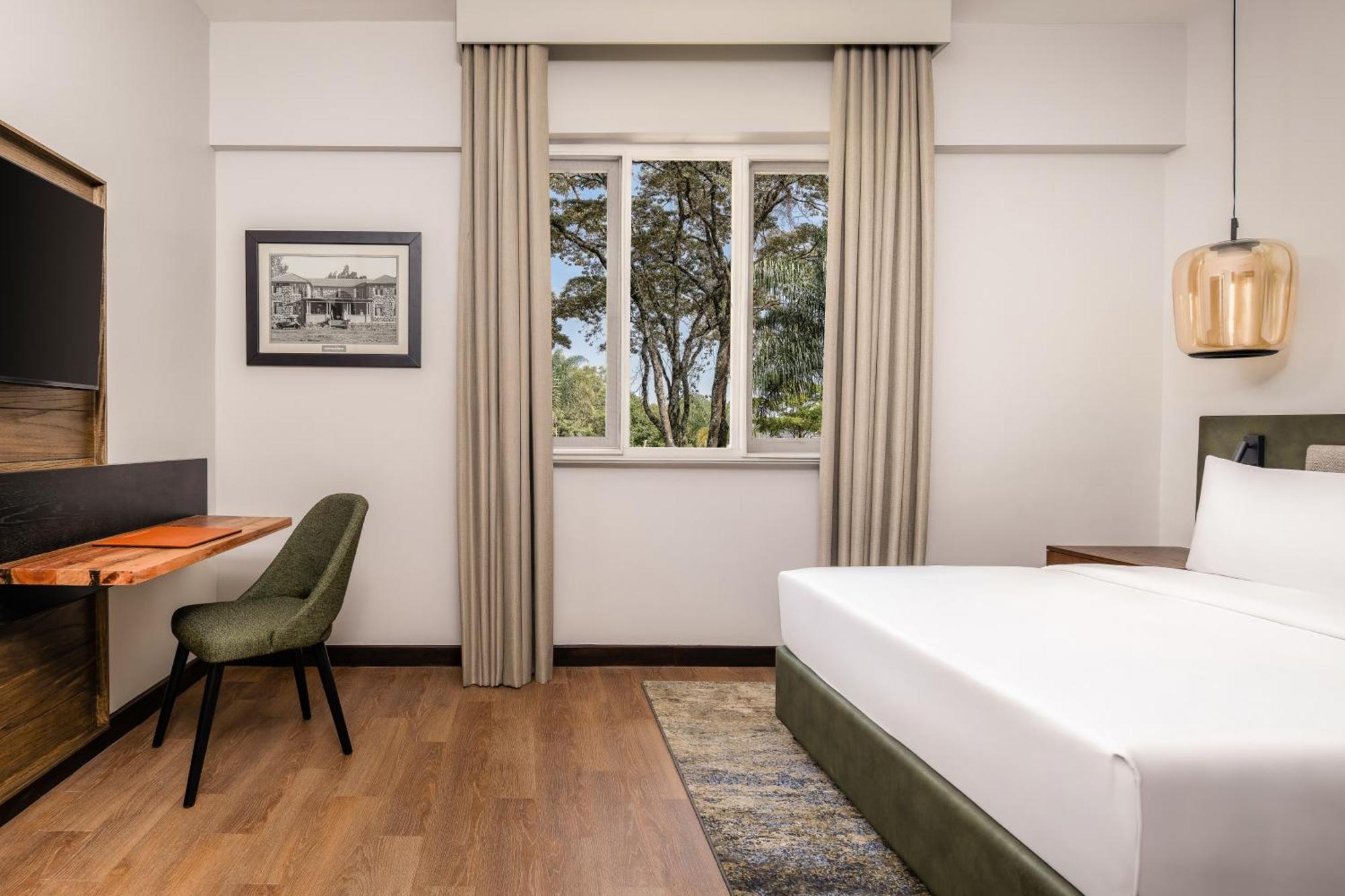 Premium King Room