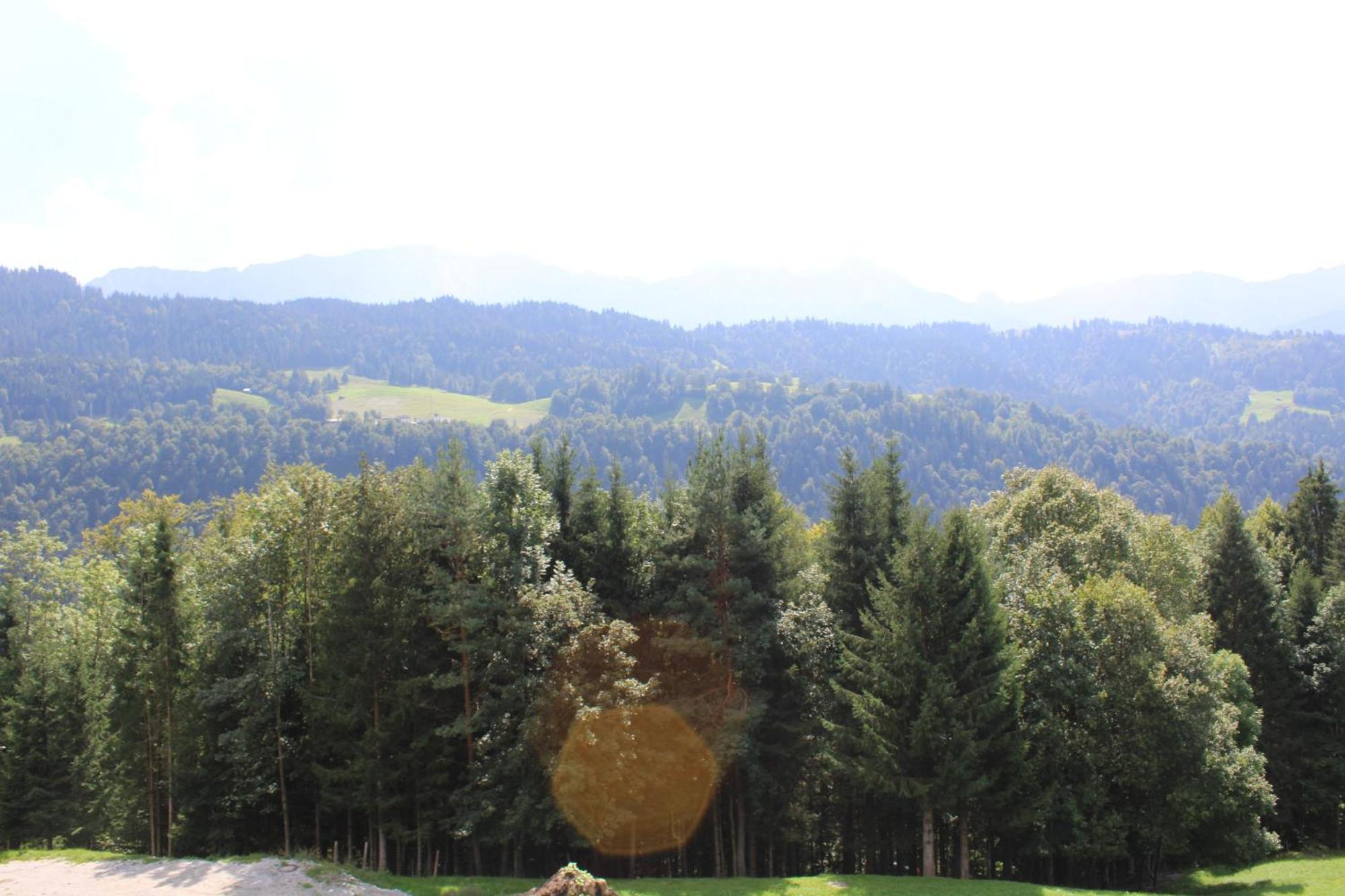 Double Room Mountain View