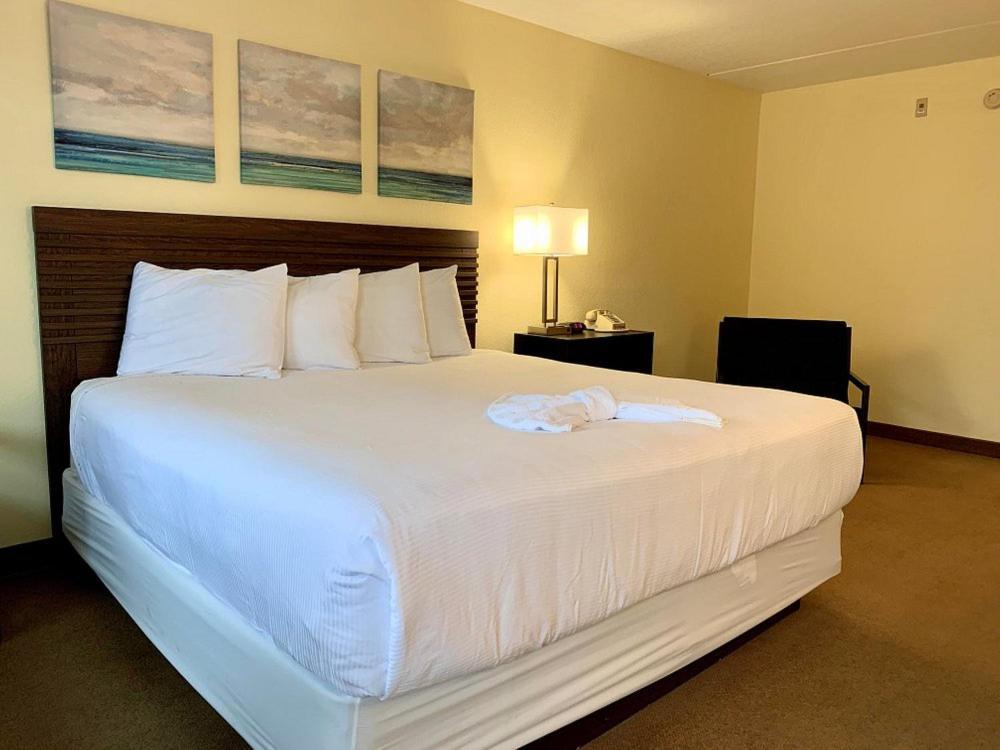 Chambre Lit King-Size - Accessible aux Personnes à Mobilité Réduite