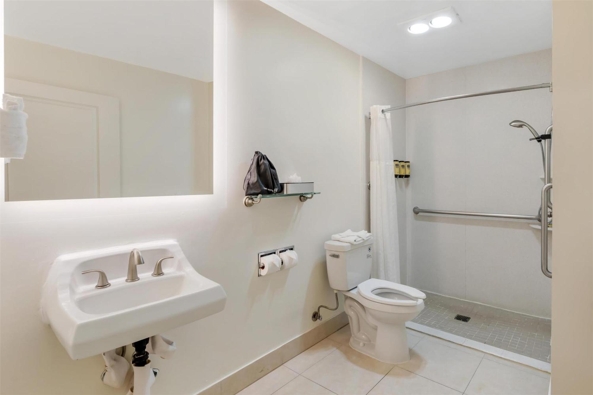 King Room Roll Shower Disability Access or Non-Smoking