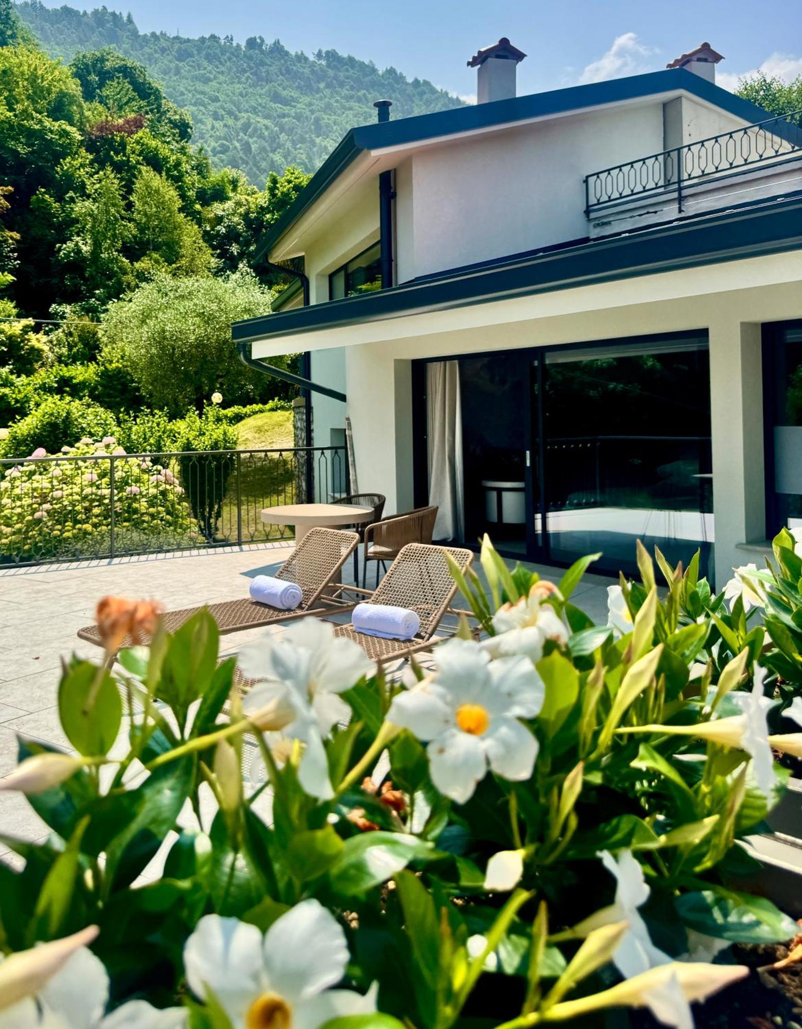 Junior Suite Terrace
