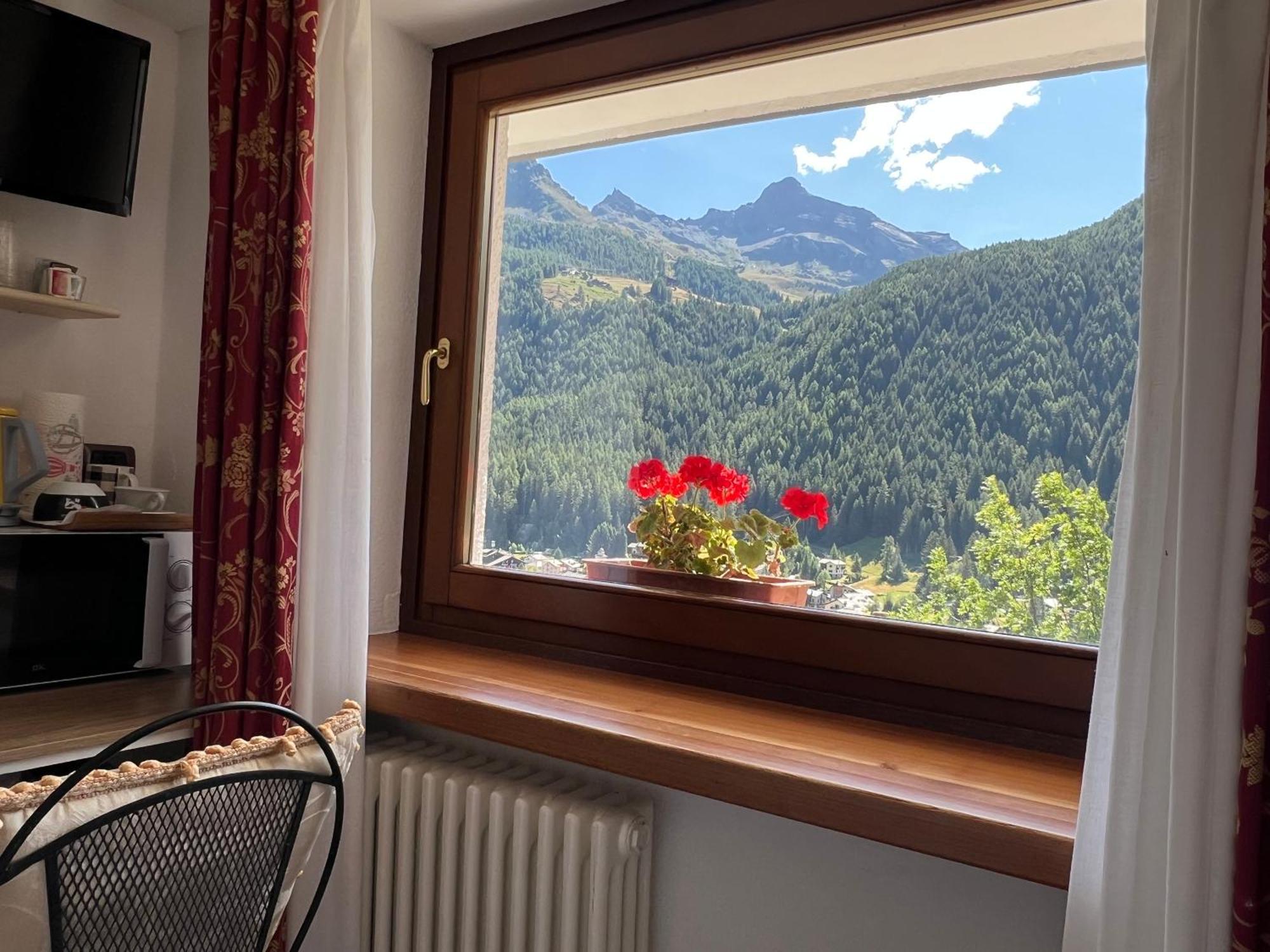 Single Room Mountain View