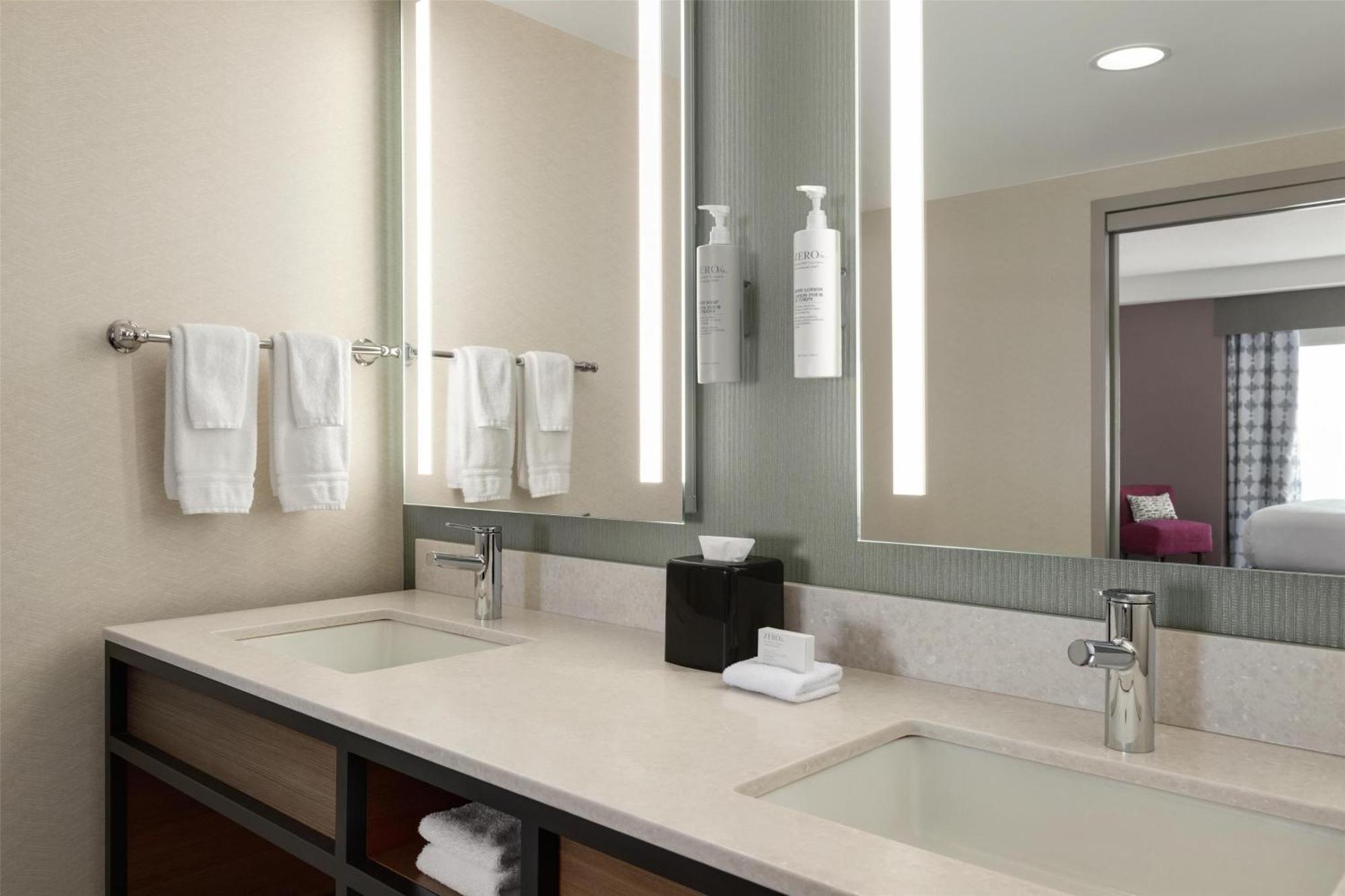 Deluxe King Suite