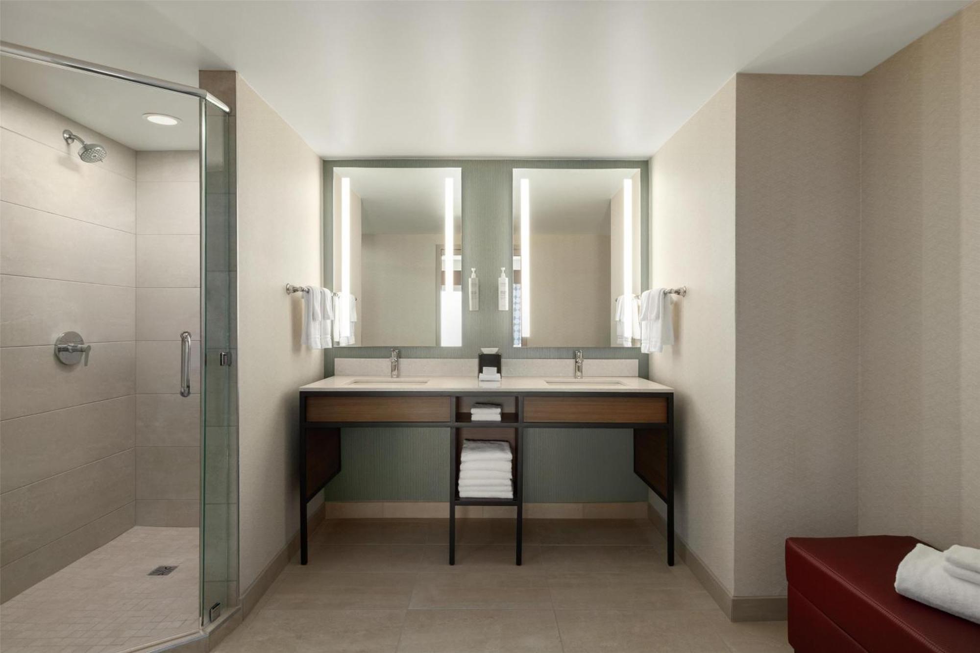 Deluxe King Suite