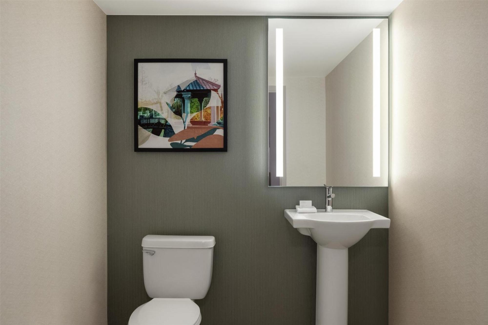 Deluxe King Suite