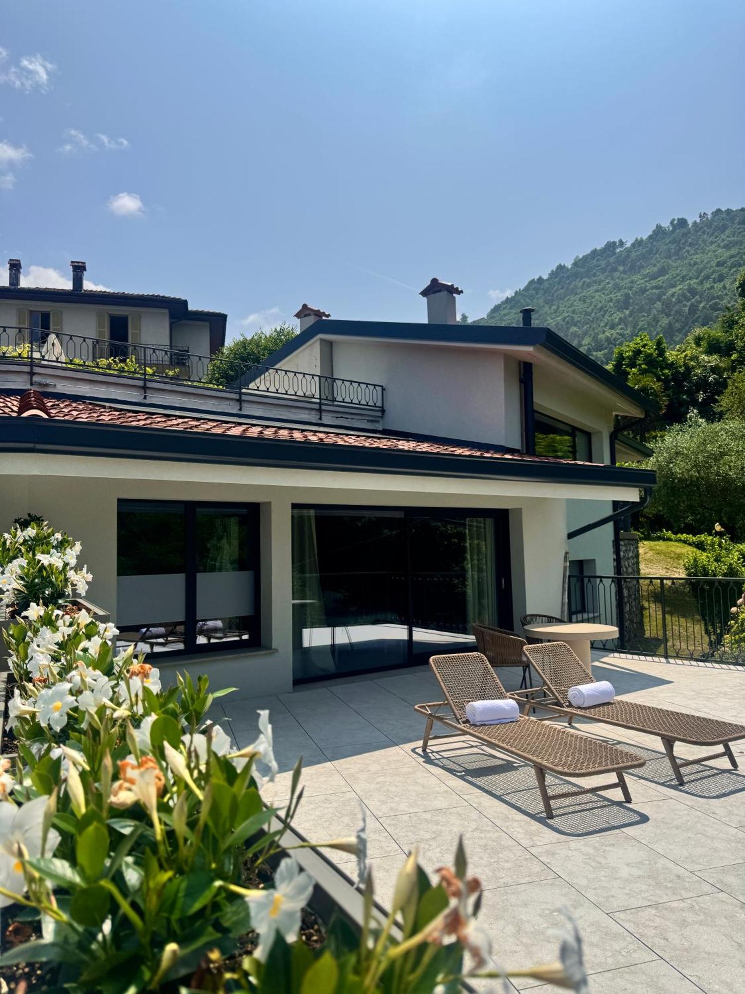 Junior Suite Terrace