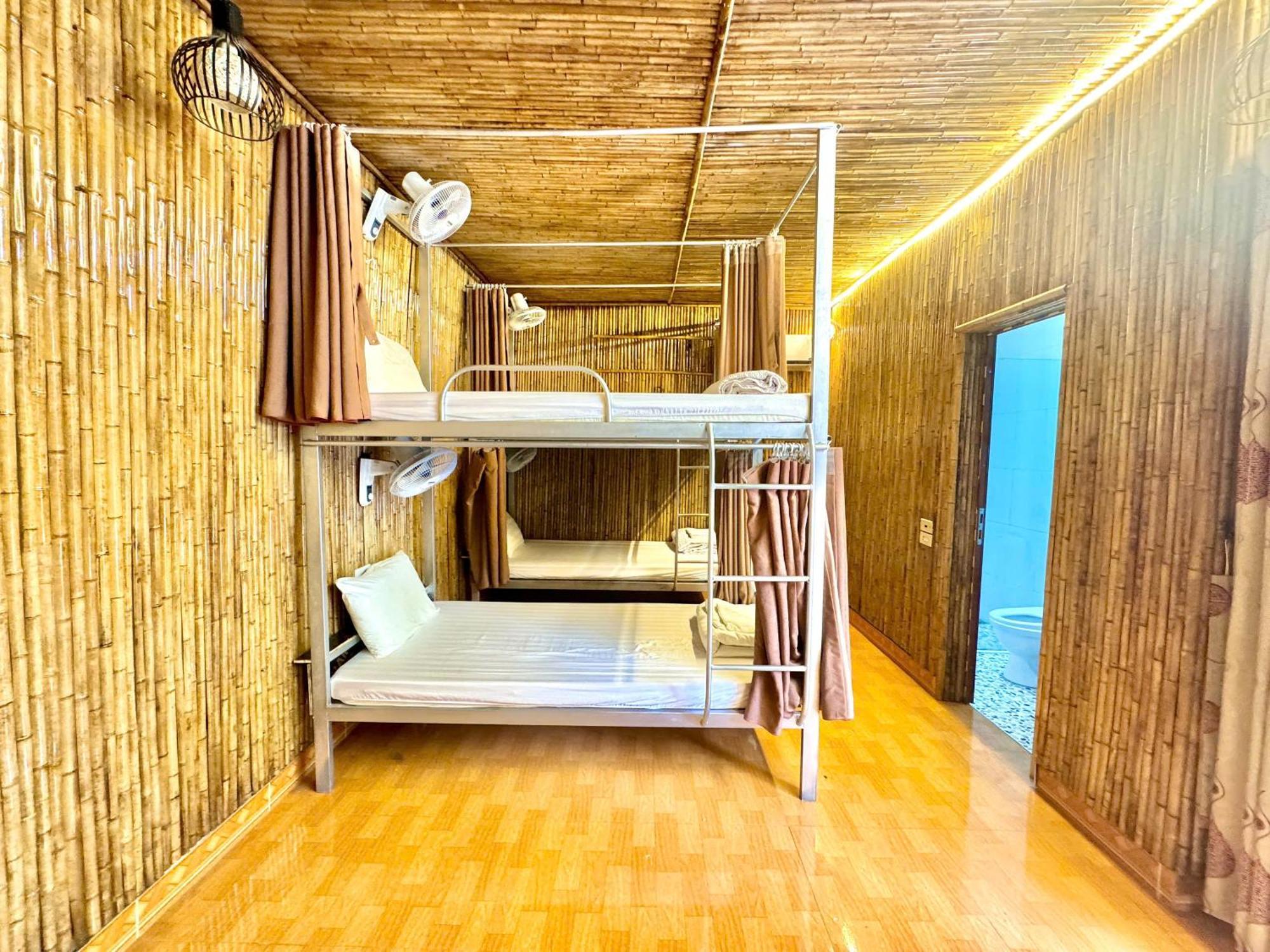 Bunk Bed Mixed Dormitory Room