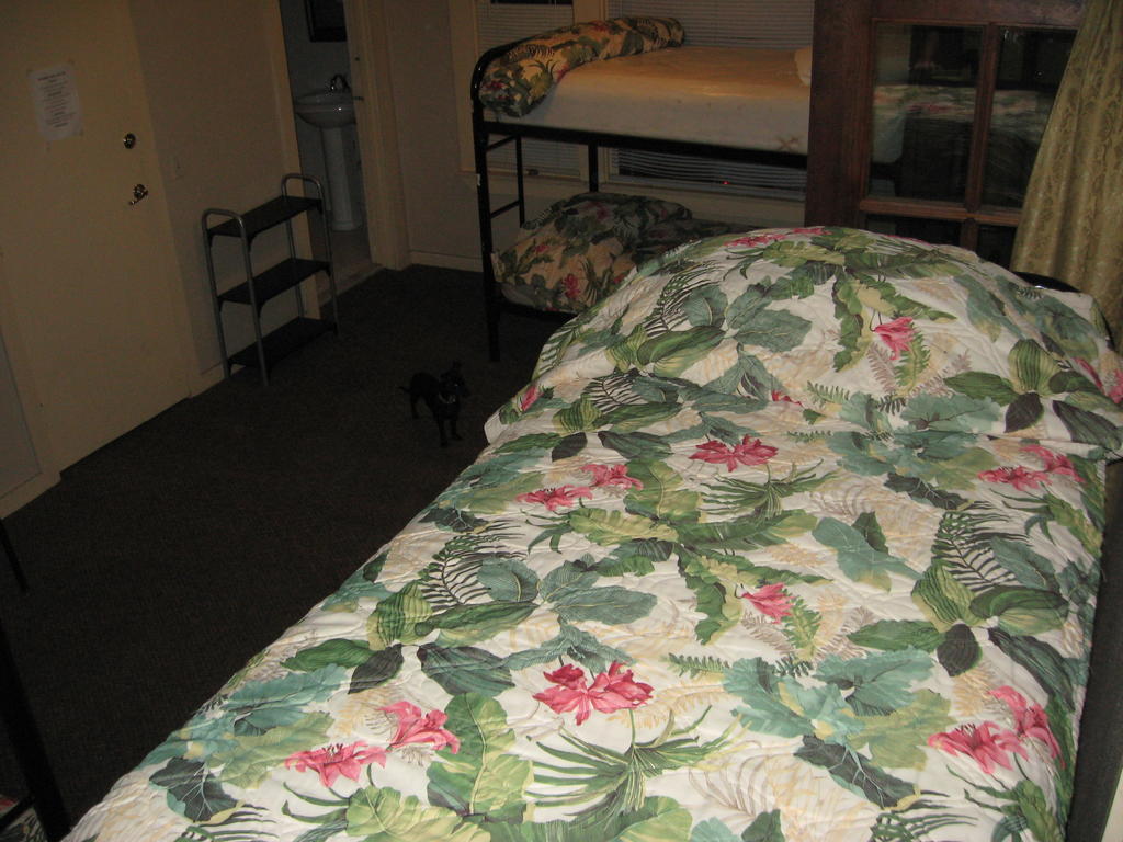 Bed 4-Bed Female Dormitory Room