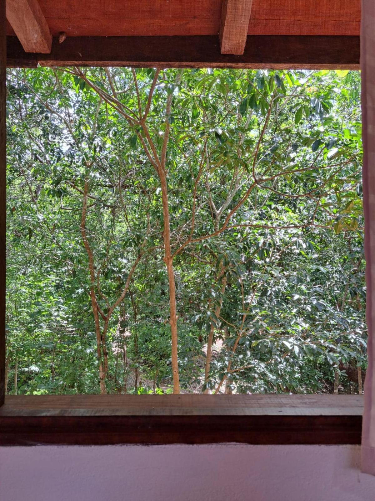 Queen Room Balcony
