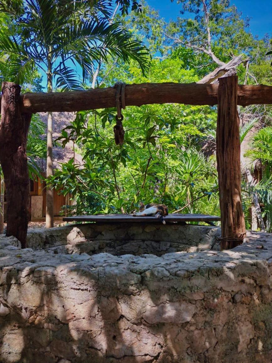 King Room Balcony