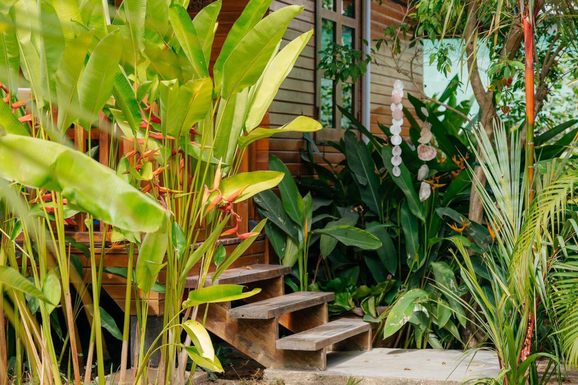 Deluxe Bungalow Garden View