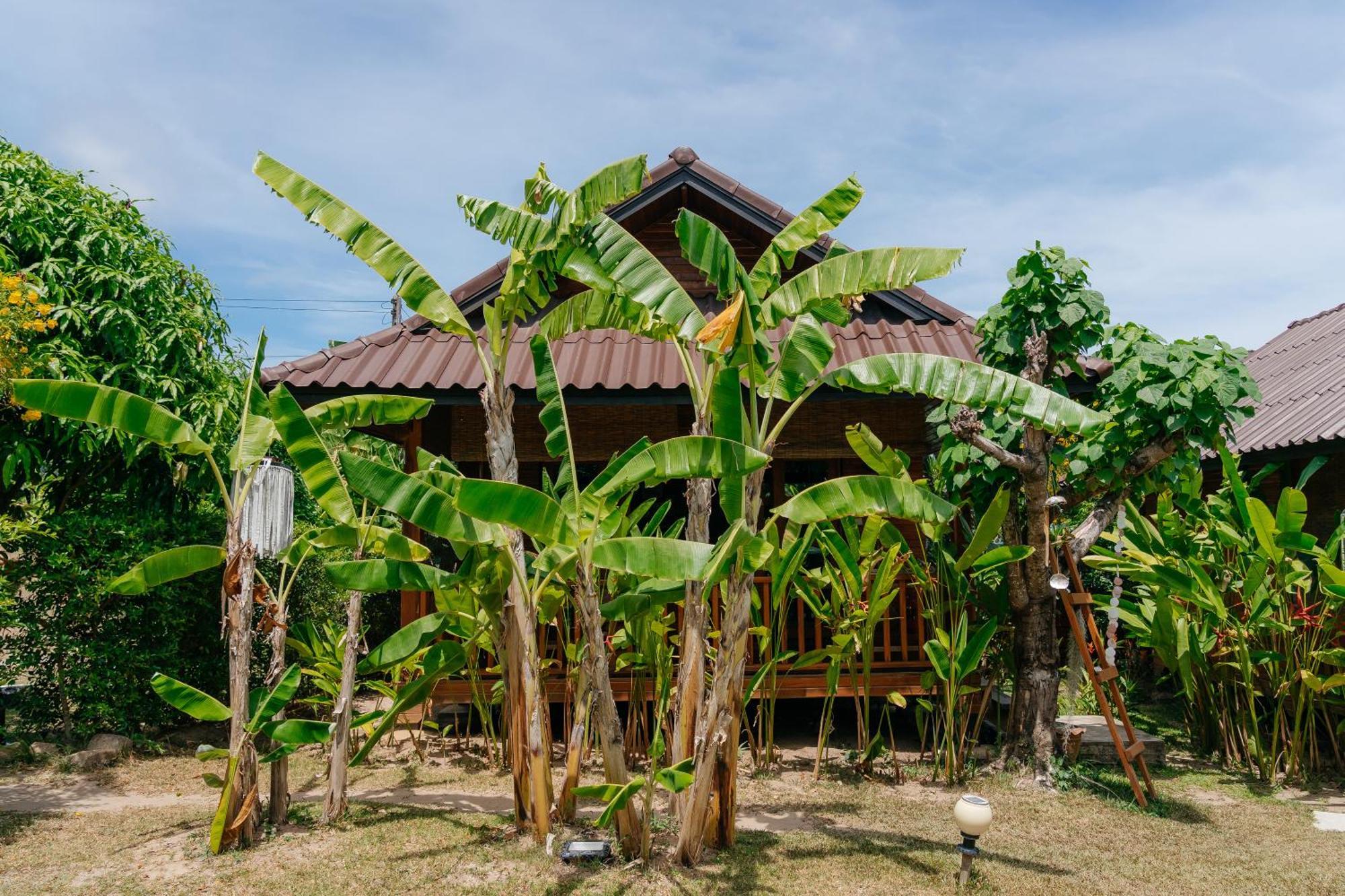 Deluxe Bungalow