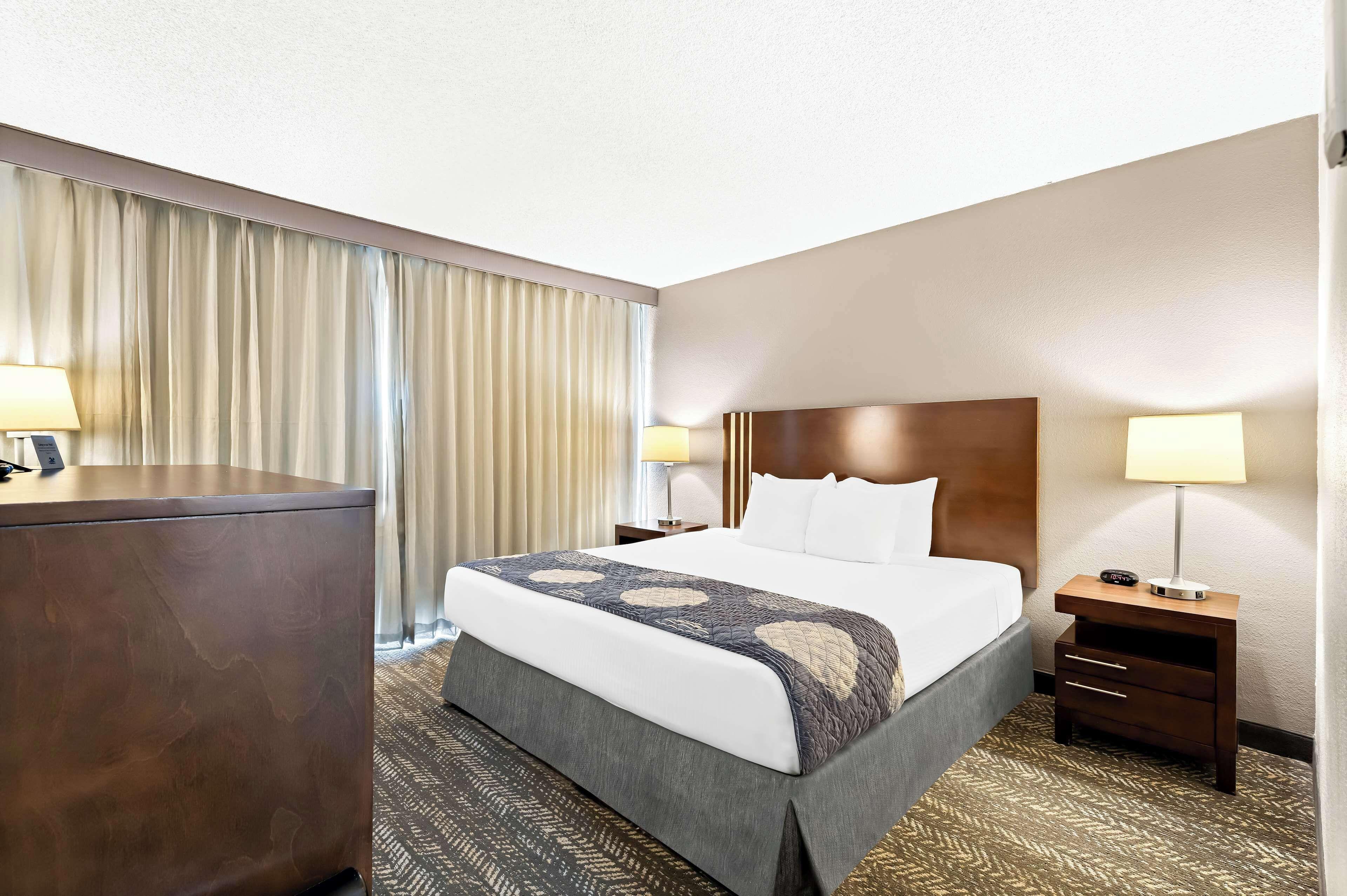 Standaard Kamer met Kingsize Bed