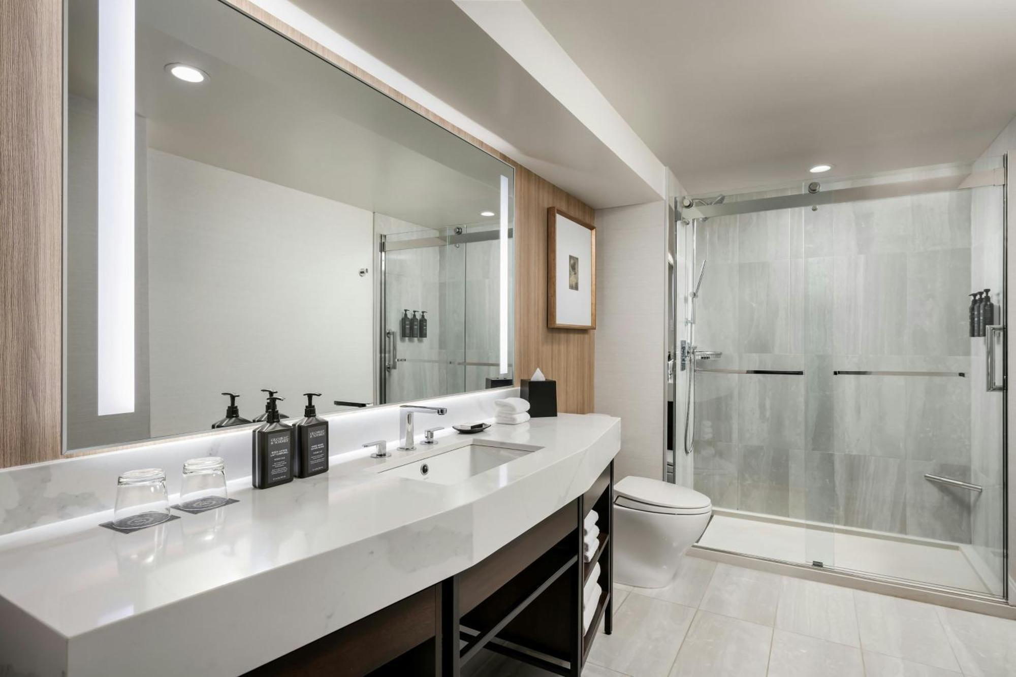 Deluxe Guest room 1 King