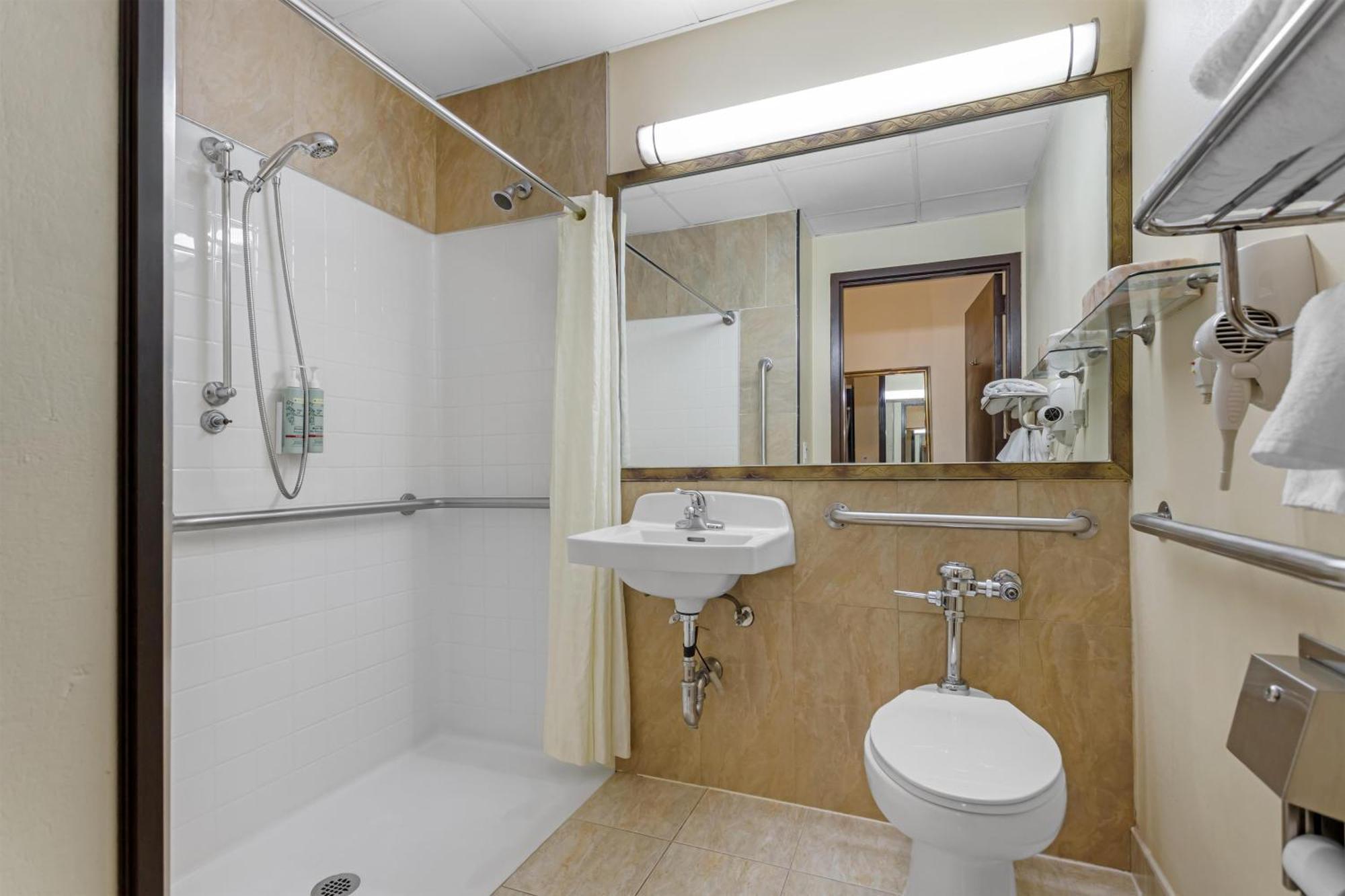 King Room Roll Shower Disability Access or Non-Smoking