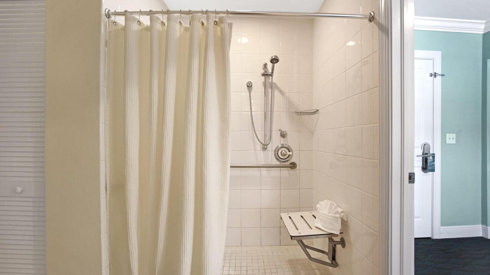 Tropical Garden King Accessible King Guestroom