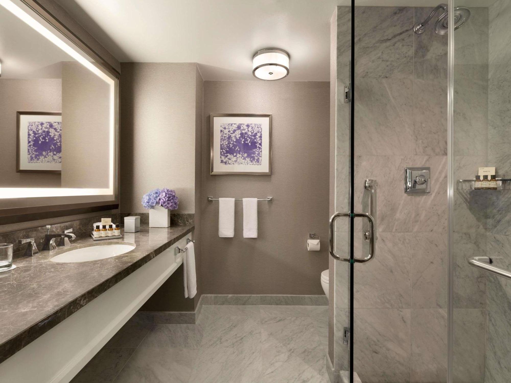 Fairmont King Room Tub Hearing Accessible