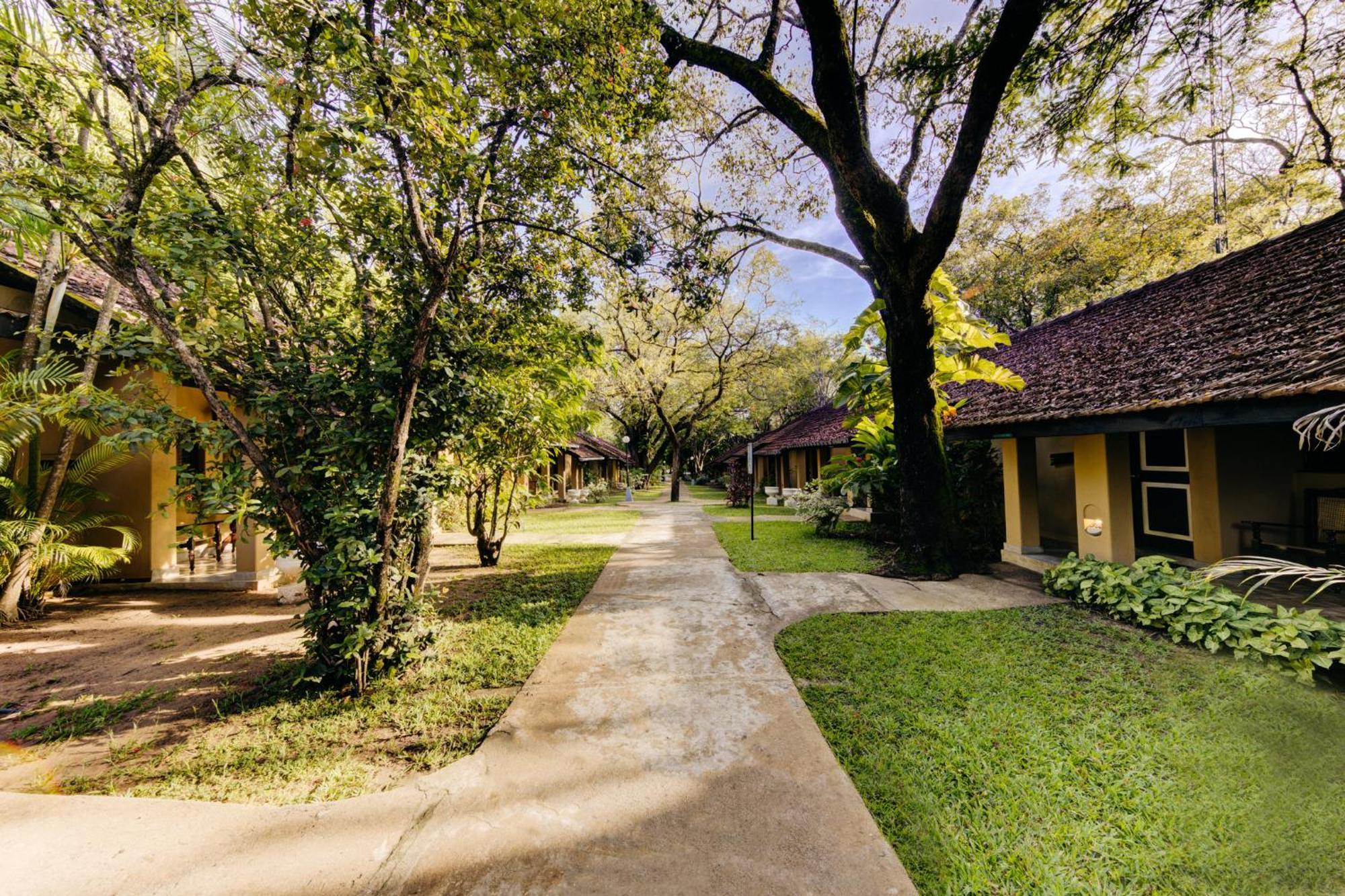 Superior King Garden View Discounts on F&B on Spa on Jeep Safari