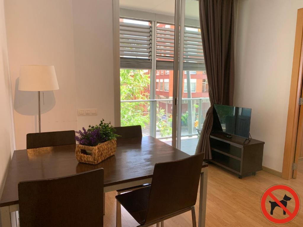 Appartement 1 Chambre avec Terrasse