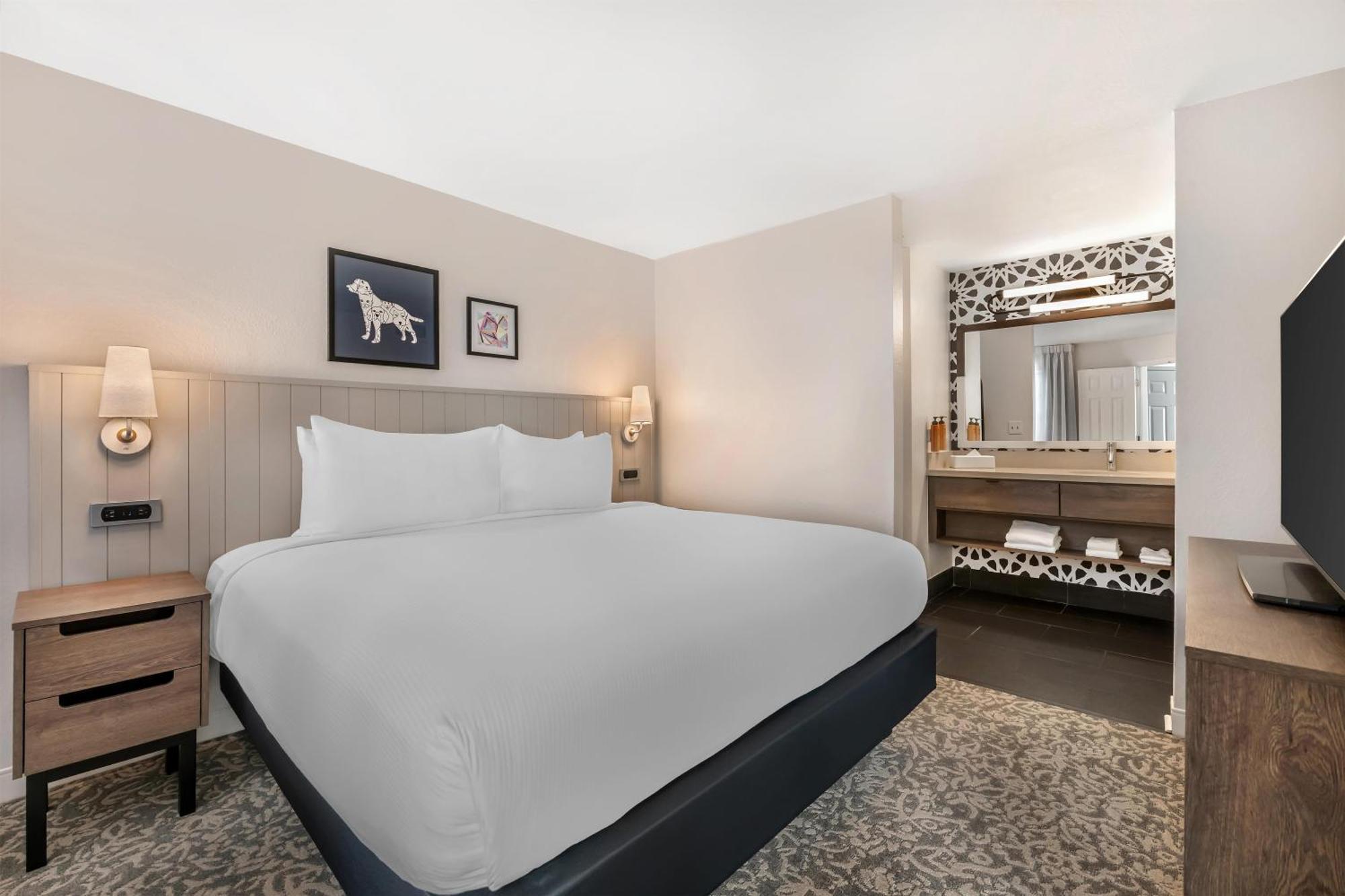 Suite King con 1 Camera da Letto