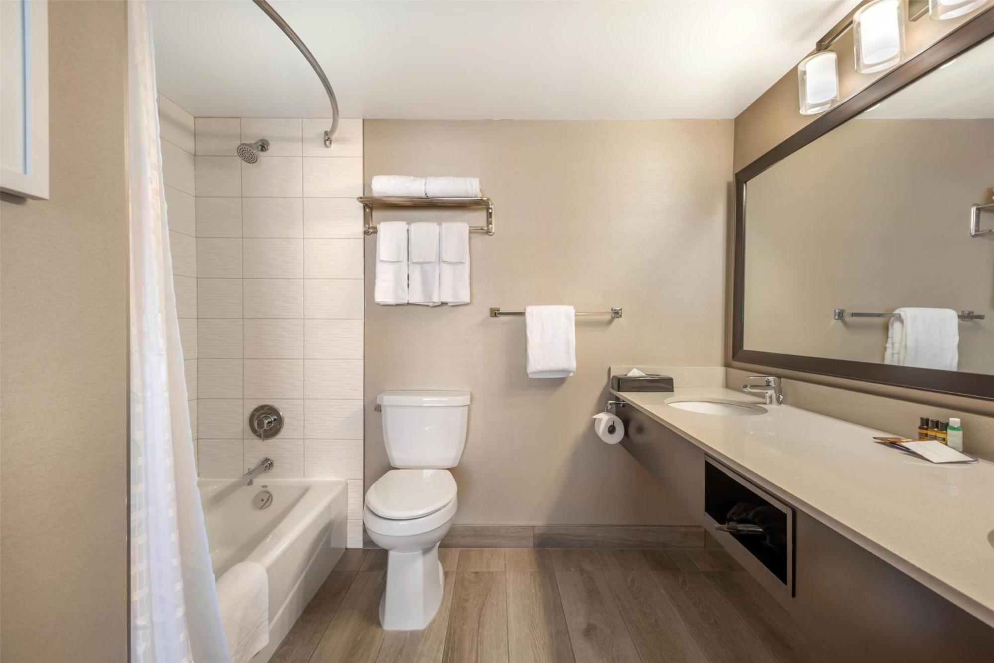 Two-Room King Suite Whirlpool Non Smoking