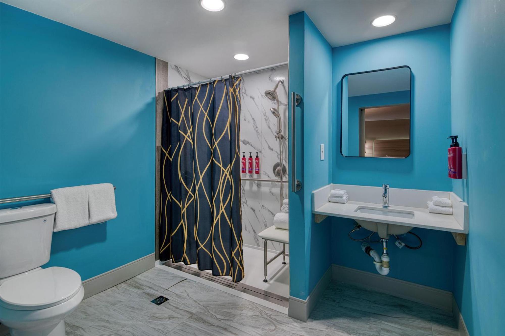 King Room Roll Shower Disability Access