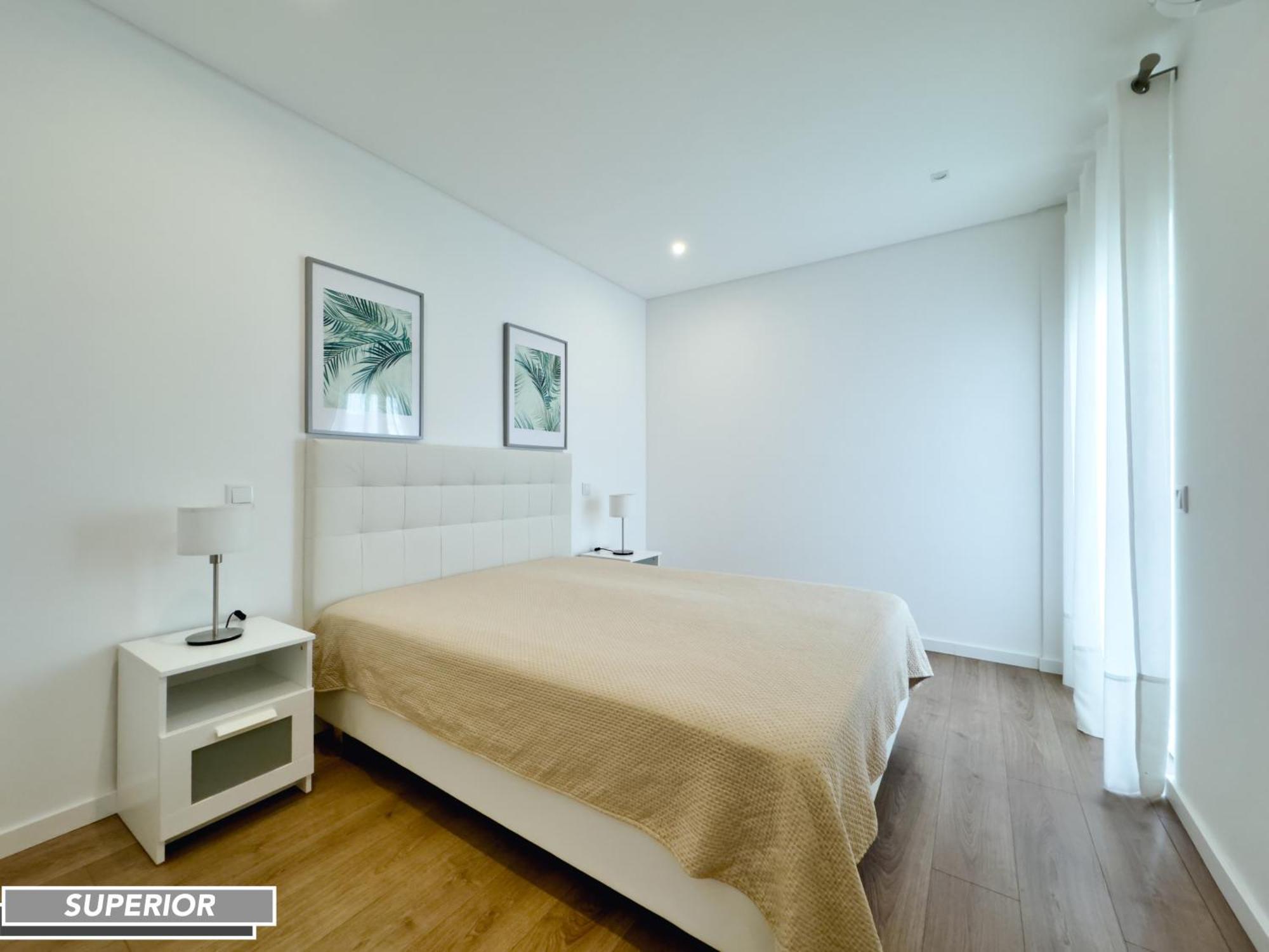 Deluxe One-Bedroom Apartment