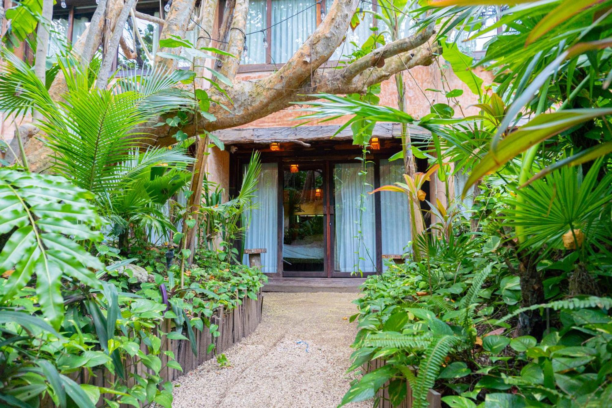 Private Jungle Room Terrace