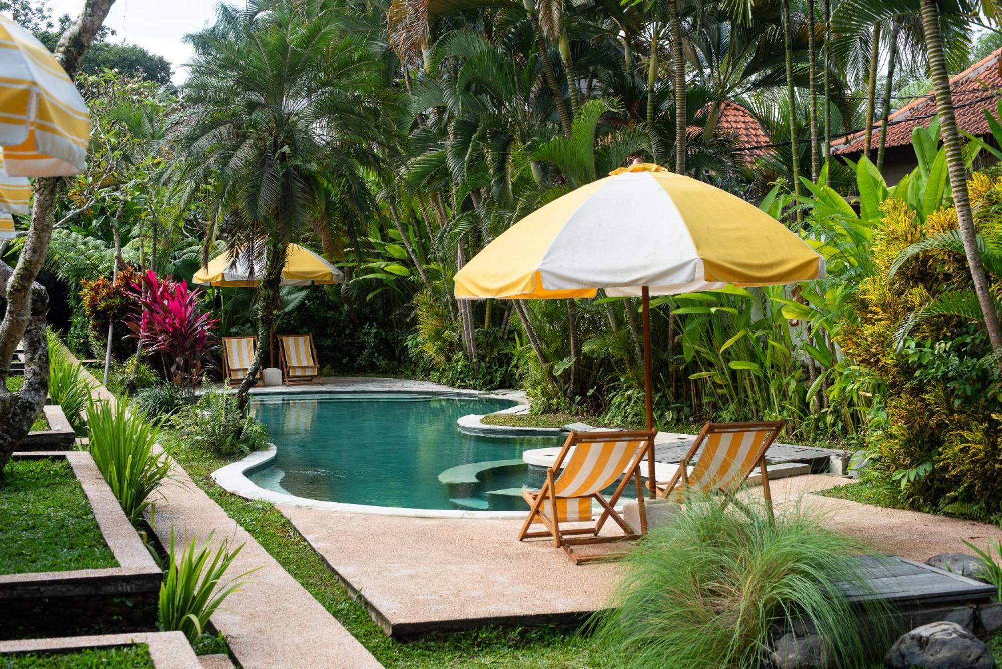 Twin Room Pool View